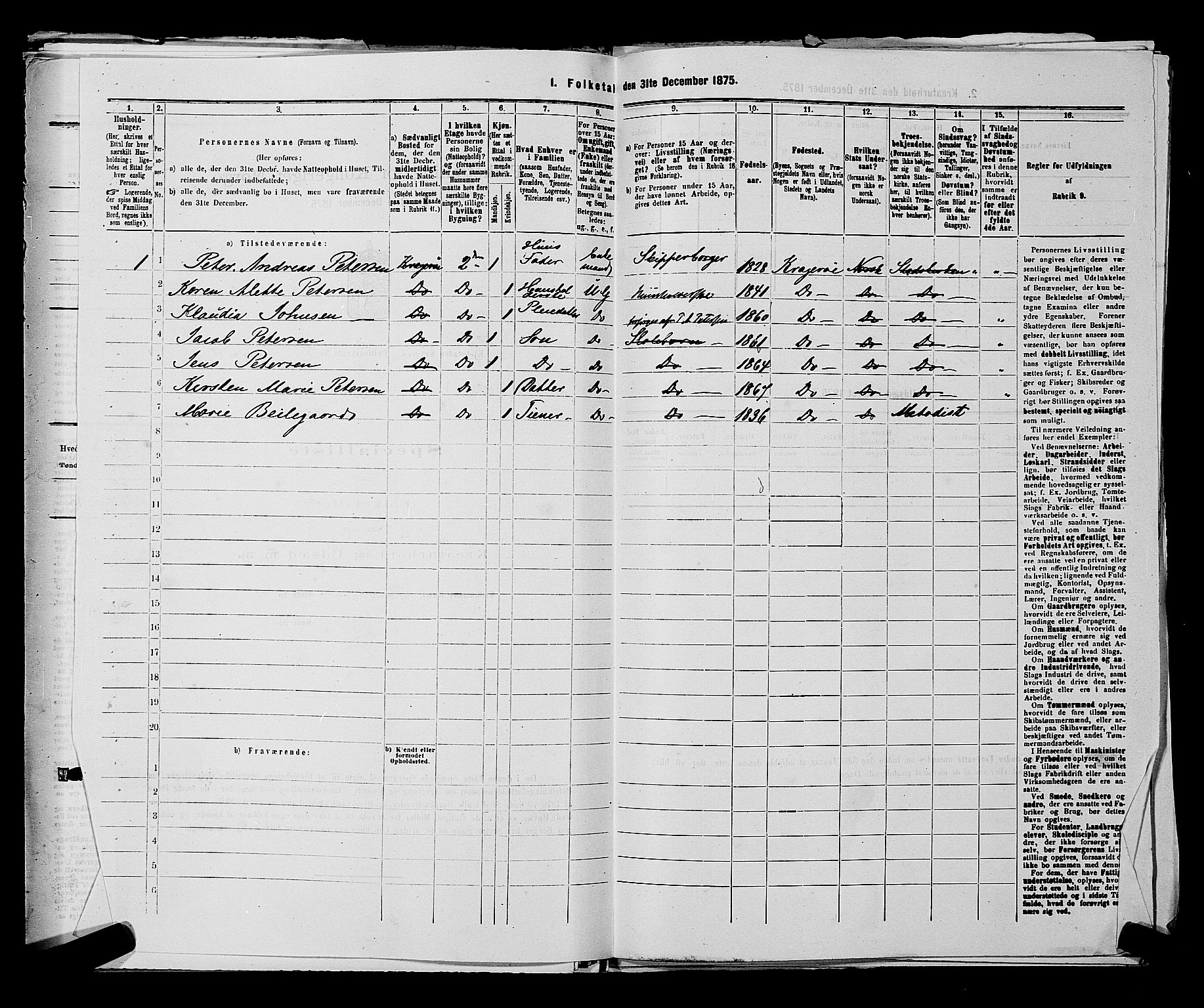 SAKO, 1875 census for 0801P Kragerø, 1875, p. 100