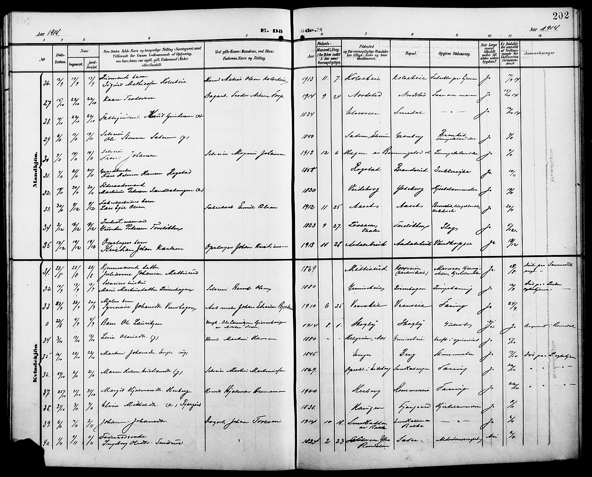 Løten prestekontor, SAH/PREST-022/L/La/L0007: Parish register (copy) no. 7, 1910-1919, p. 202