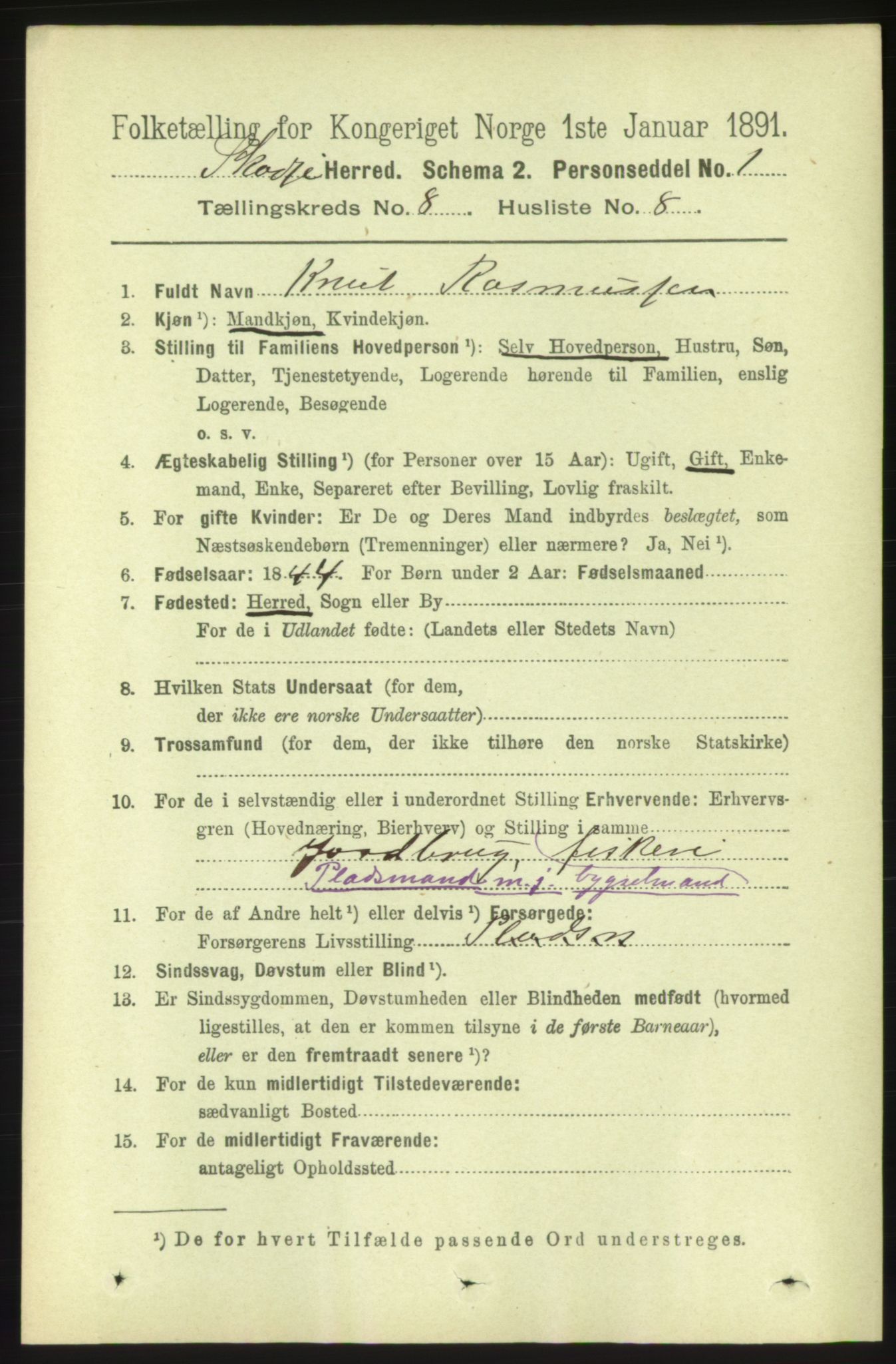 RA, 1891 census for 1529 Skodje, 1891, p. 1733