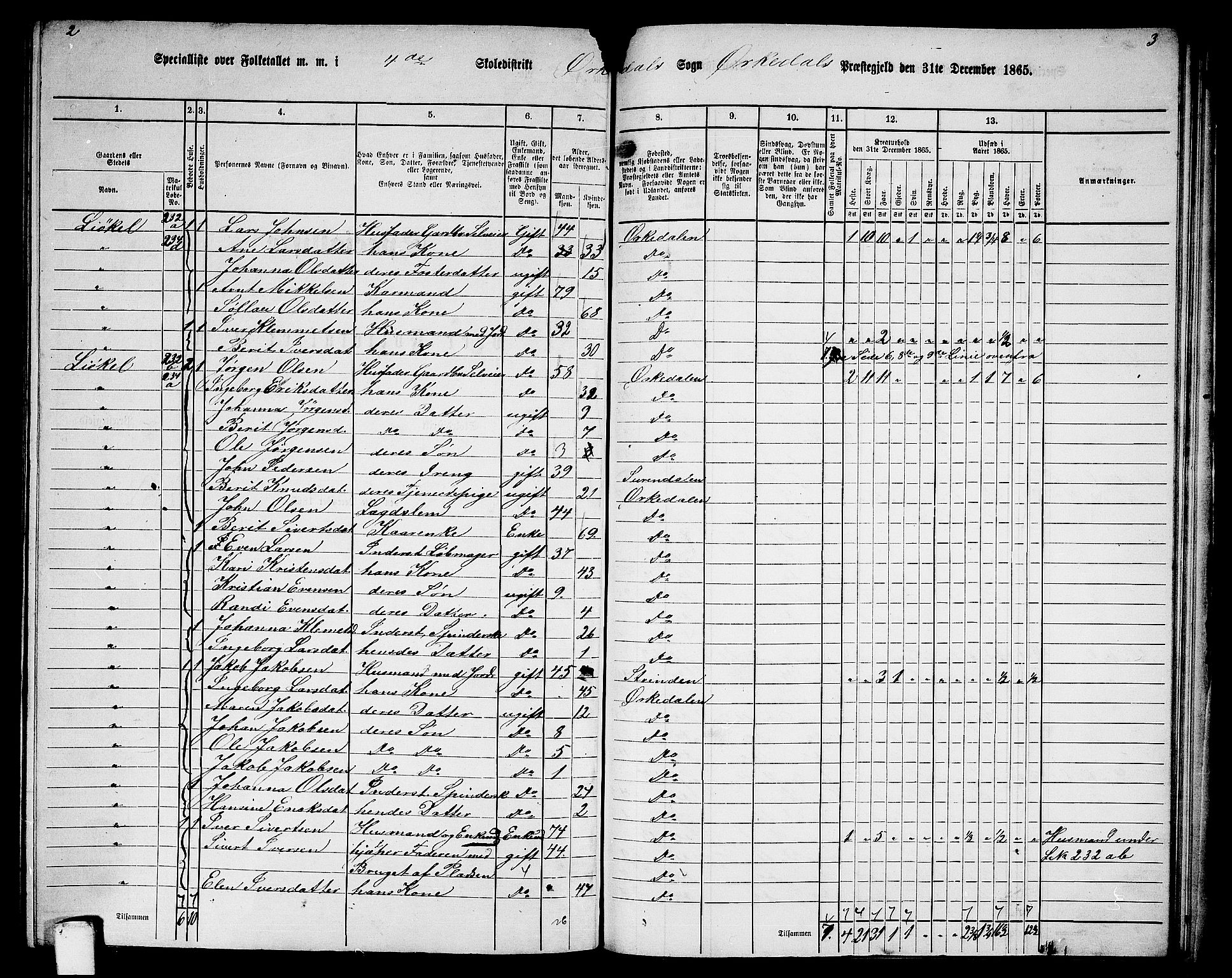 RA, 1865 census for Orkdal, 1865, p. 222