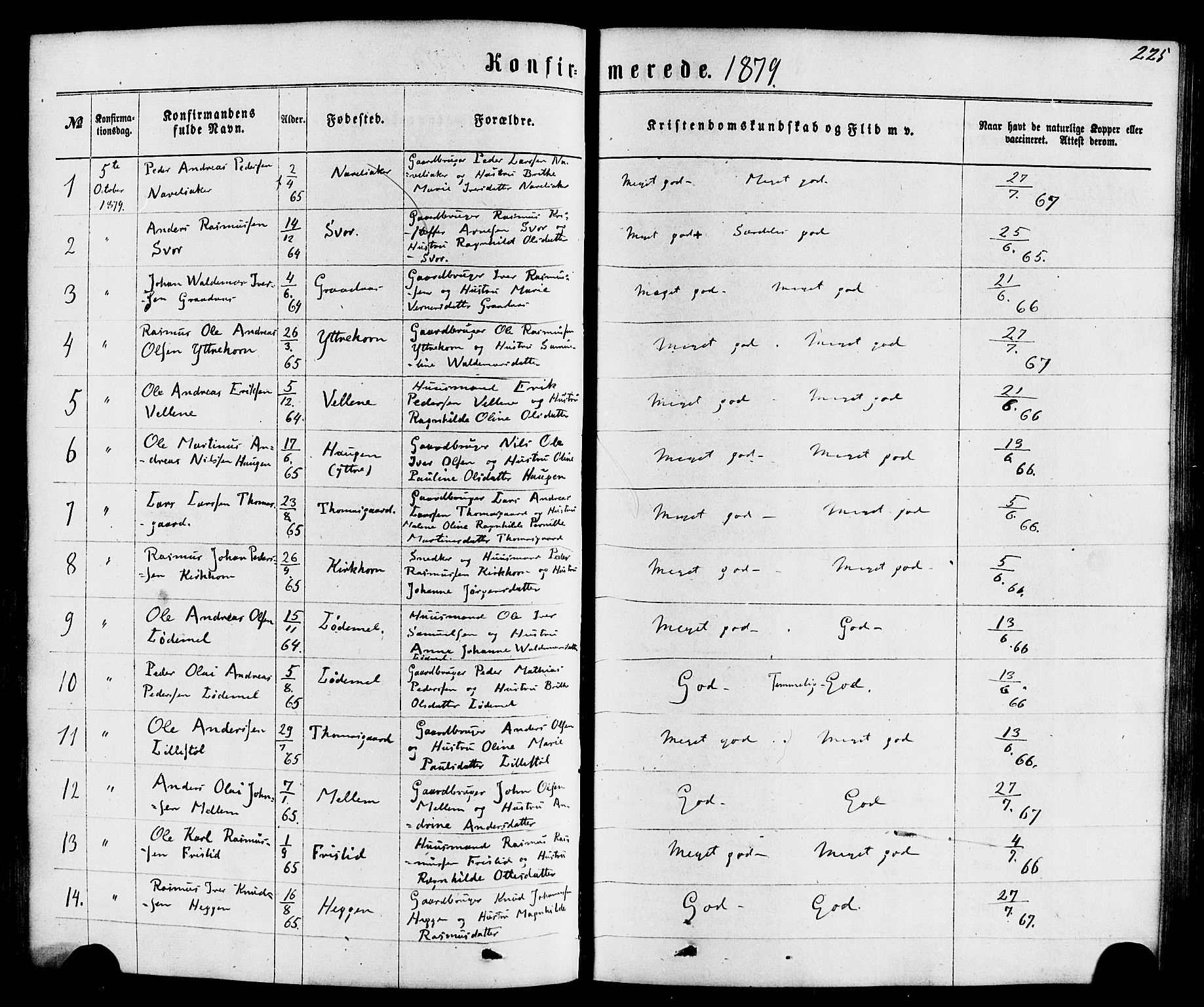 Hornindal sokneprestembete, SAB/A-82401/H/Haa/Haaa/L0002: Parish register (official) no. A 2, 1867-1884, p. 225