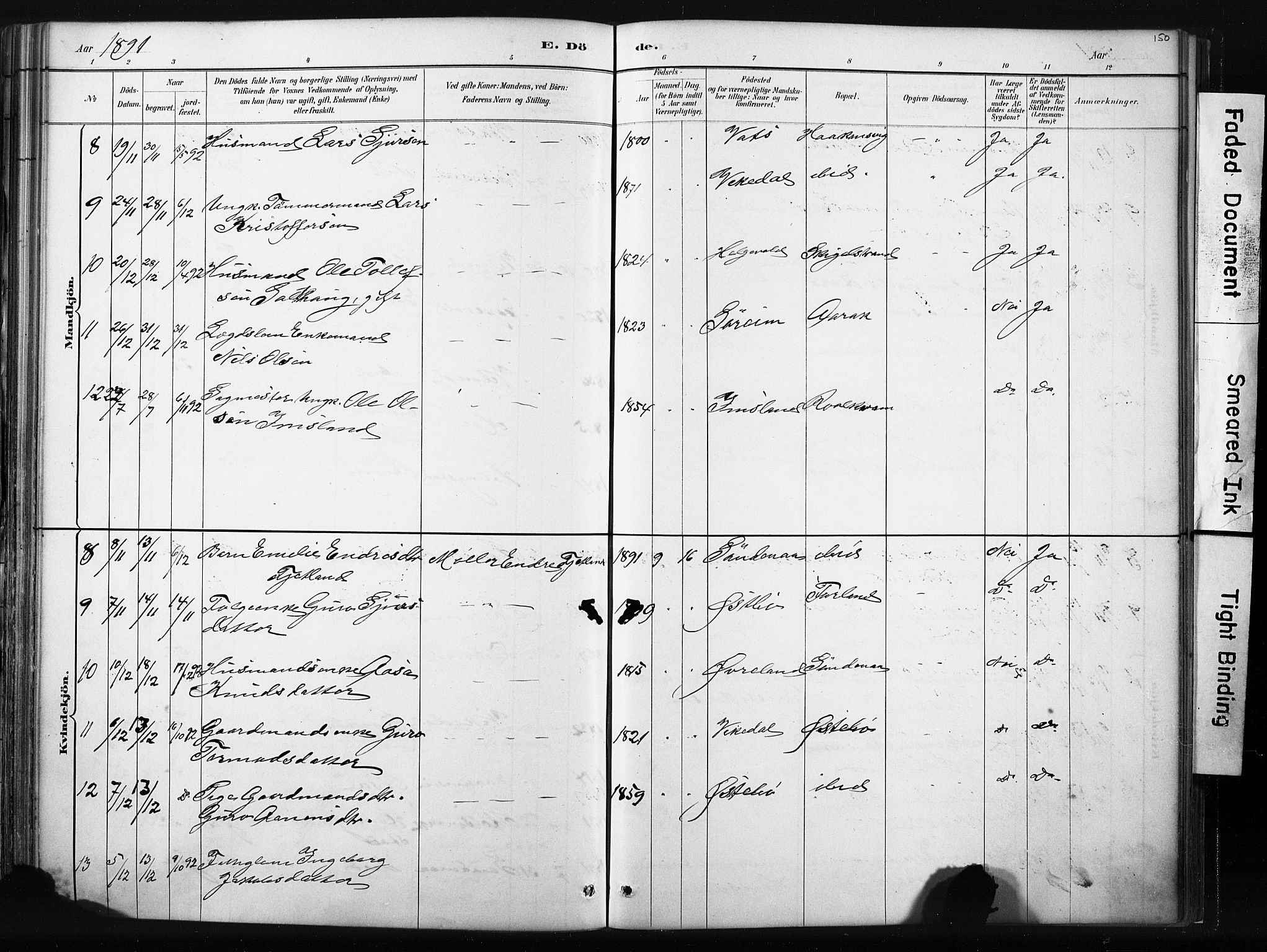 Vikedal sokneprestkontor, SAST/A-101840/01/IV: Parish register (official) no. A 10, 1884-1907, p. 150