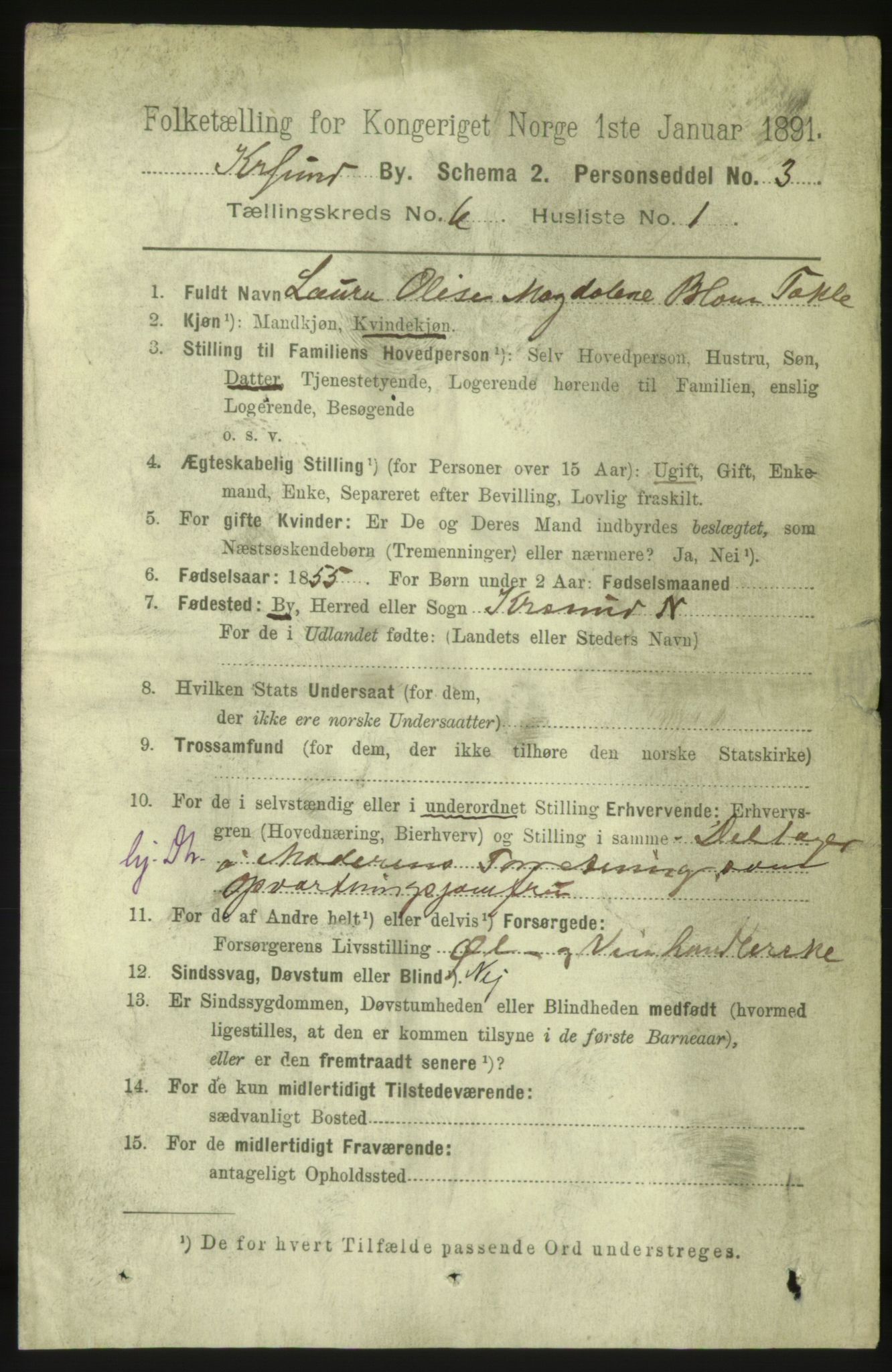 RA, 1891 census for 1503 Kristiansund, 1891, p. 5045