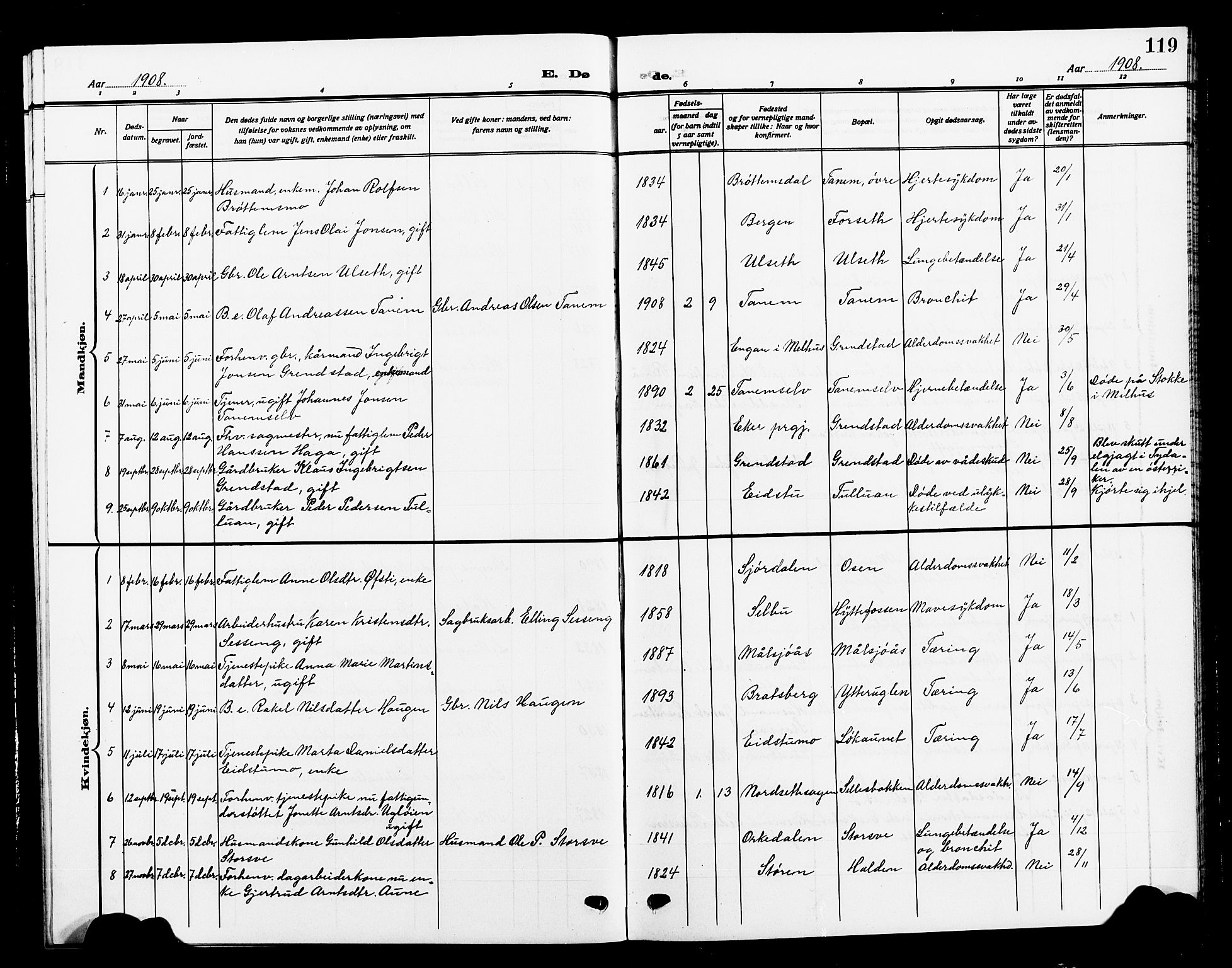 Ministerialprotokoller, klokkerbøker og fødselsregistre - Sør-Trøndelag, SAT/A-1456/618/L0453: Parish register (copy) no. 618C04, 1907-1925, p. 119