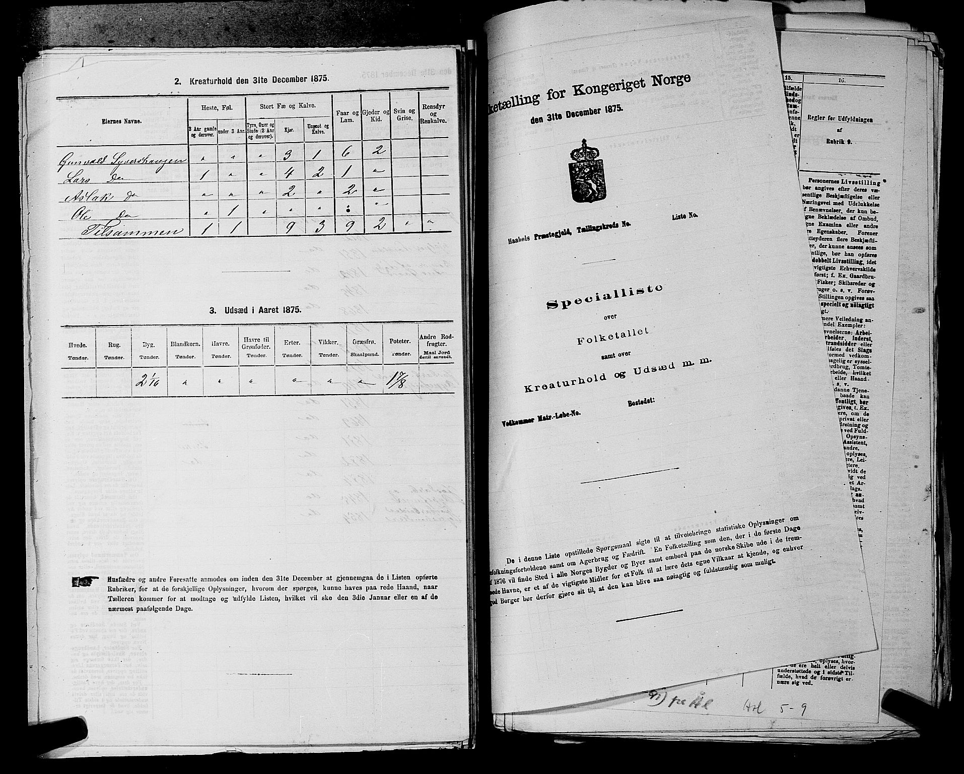 SAKO, 1875 census for 0620P Hol, 1875, p. 306