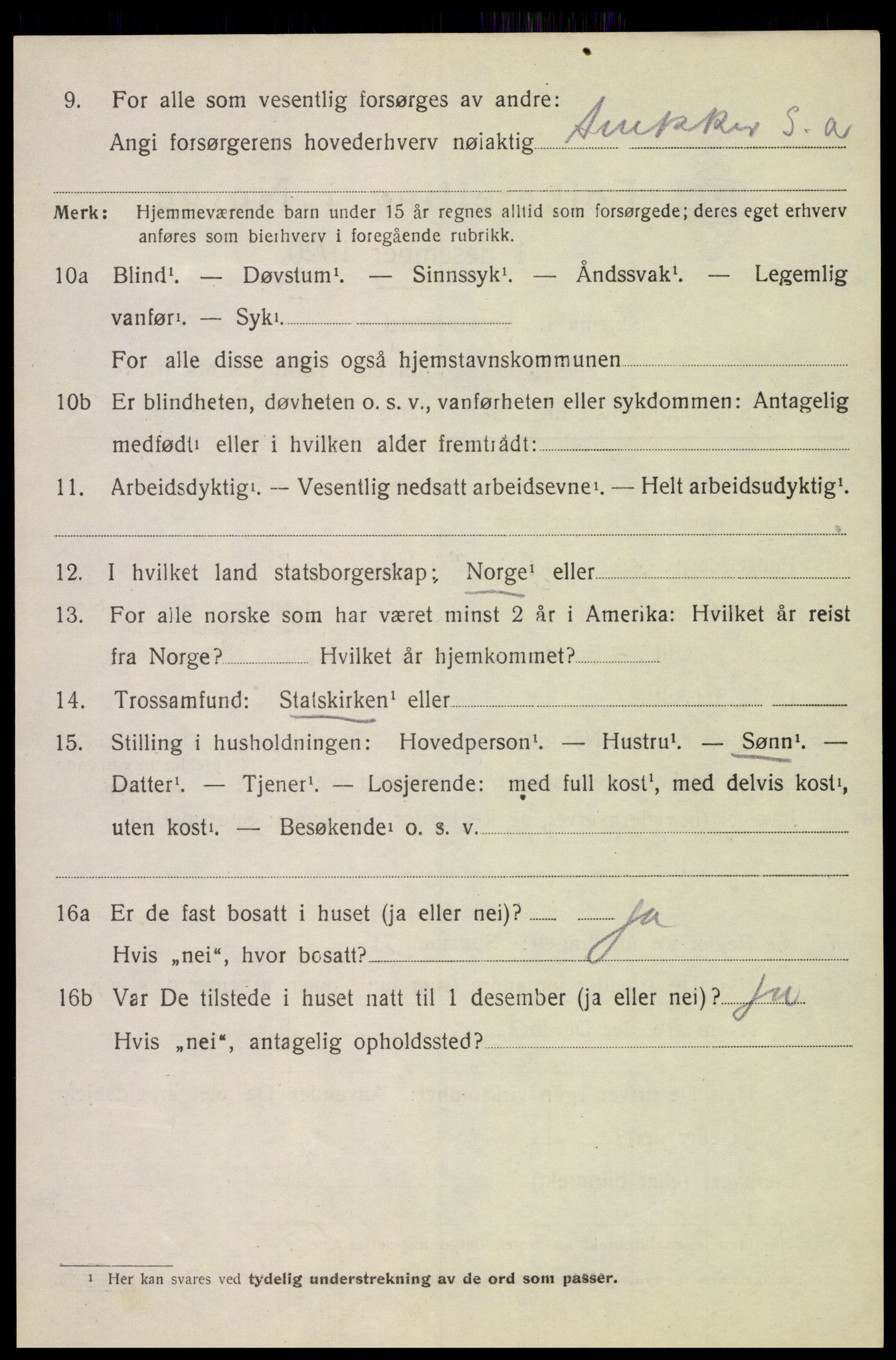 SAH, 1920 census for Vang (Hedmark), 1920, p. 17646