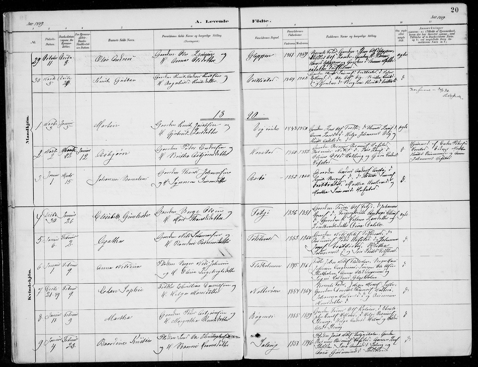 Fitjar sokneprestembete, AV/SAB-A-99926: Parish register (copy) no. A 2, 1887-1906, p. 20
