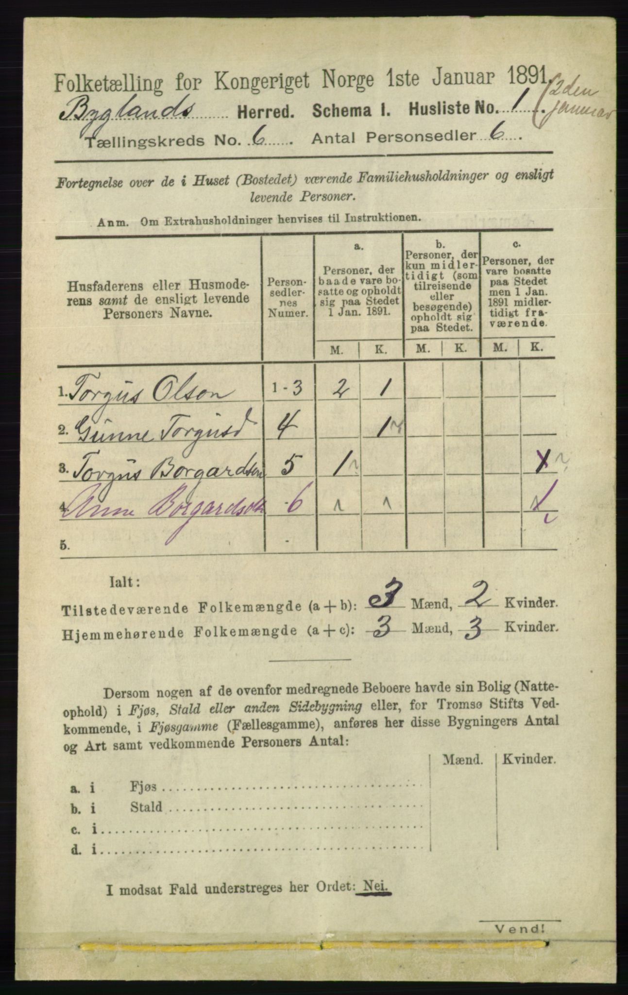 RA, 1891 census for 0938 Bygland, 1891, p. 1308