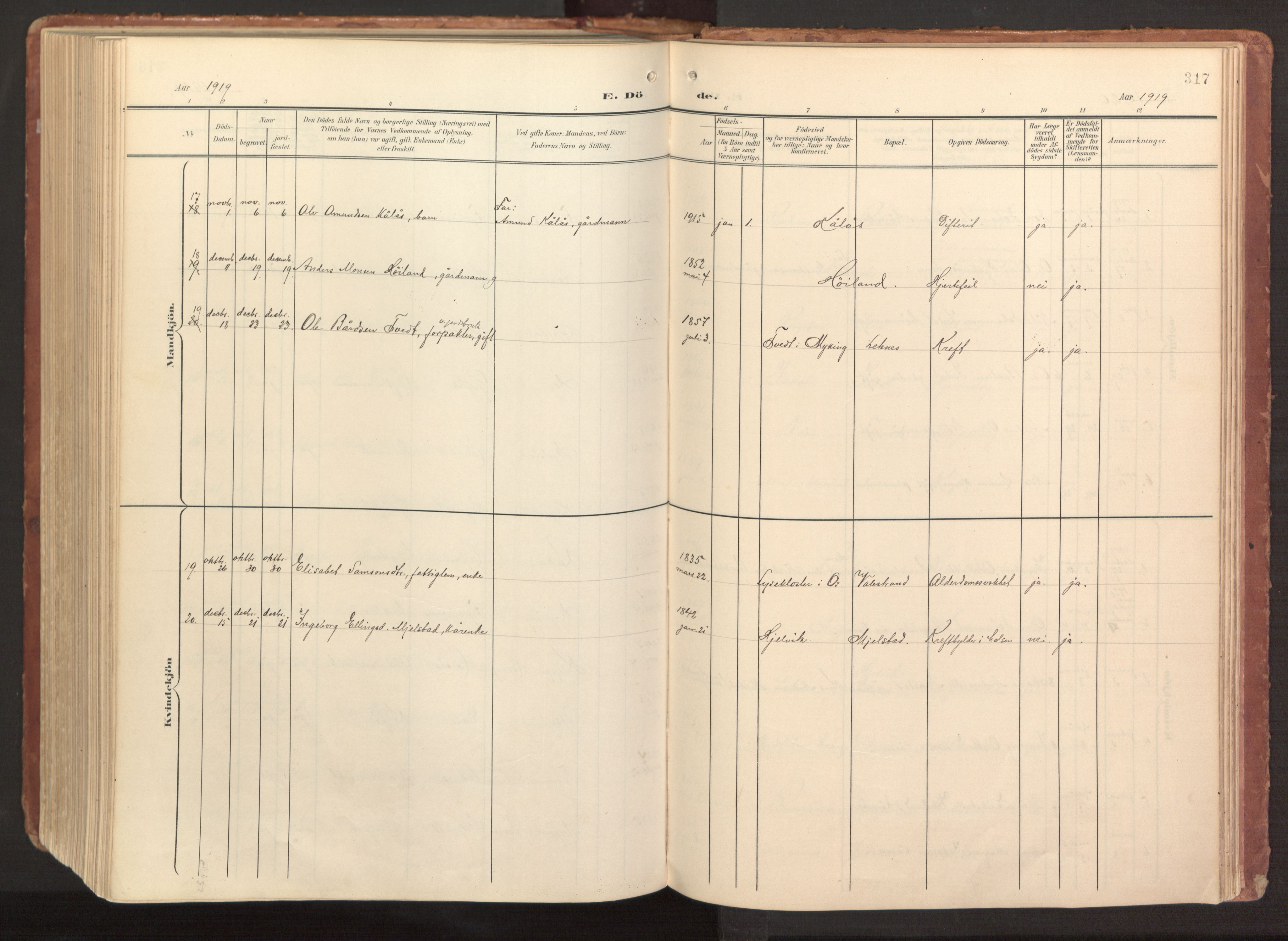 Hamre sokneprestembete, AV/SAB-A-75501/H/Ha/Haa/Haab/L0002: Parish register (official) no. B 2, 1905-1924, p. 317