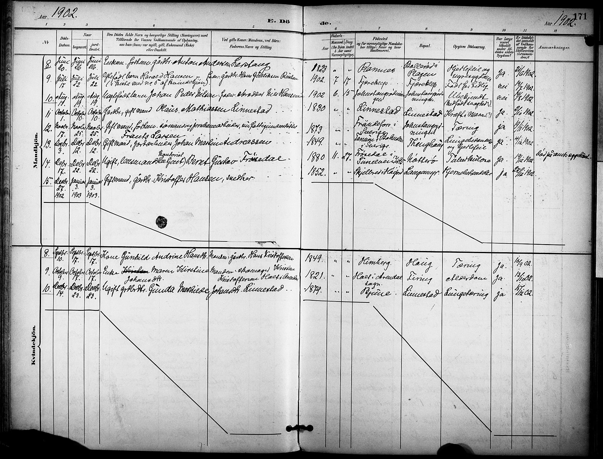 Ramnes kirkebøker, SAKO/A-314/F/Fa/L0008: Parish register (official) no. I 8, 1896-1913, p. 171
