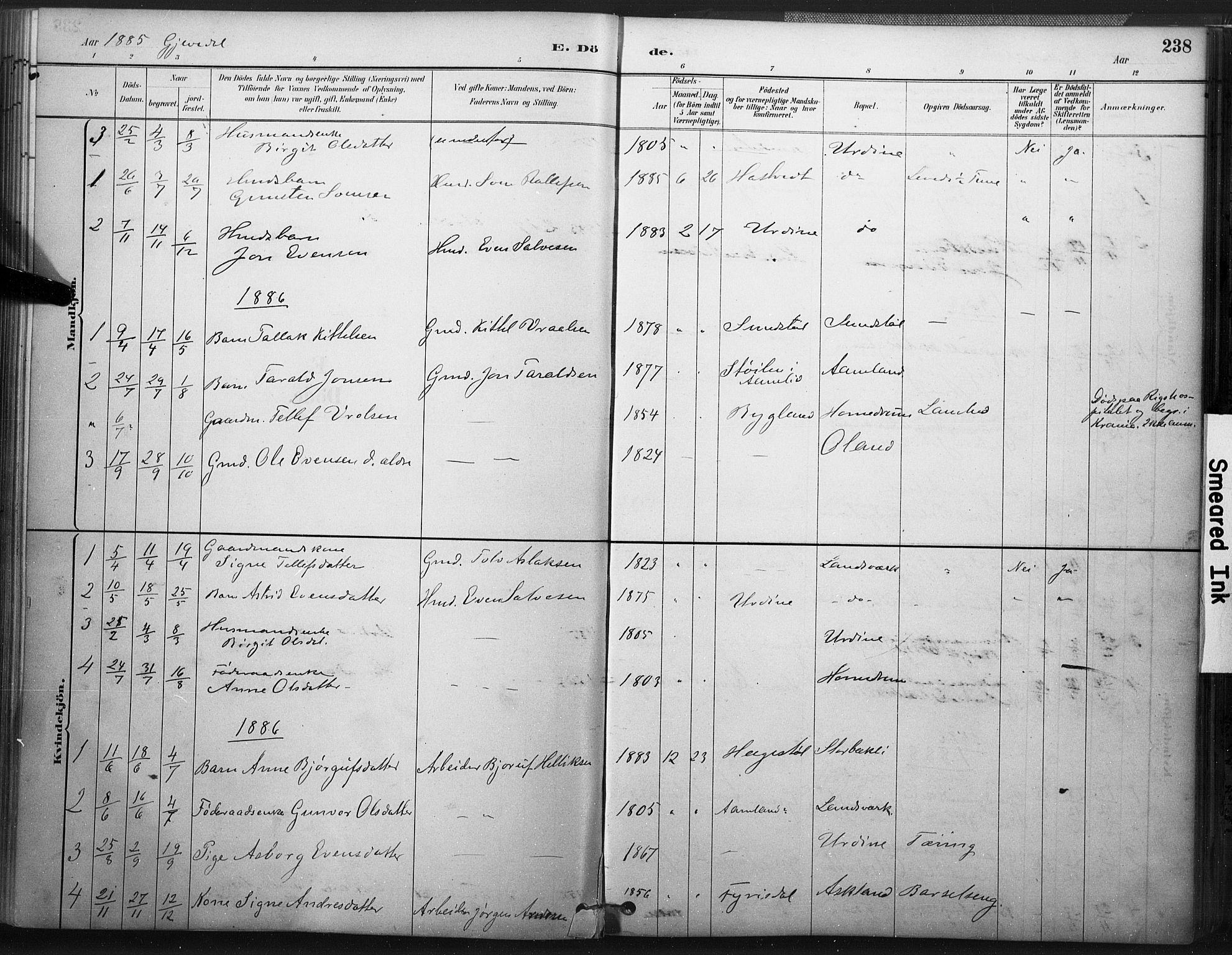 Åmli sokneprestkontor, SAK/1111-0050/F/Fa/Fac/L0010: Parish register (official) no. A 10 /2, 1885-1899, p. 238