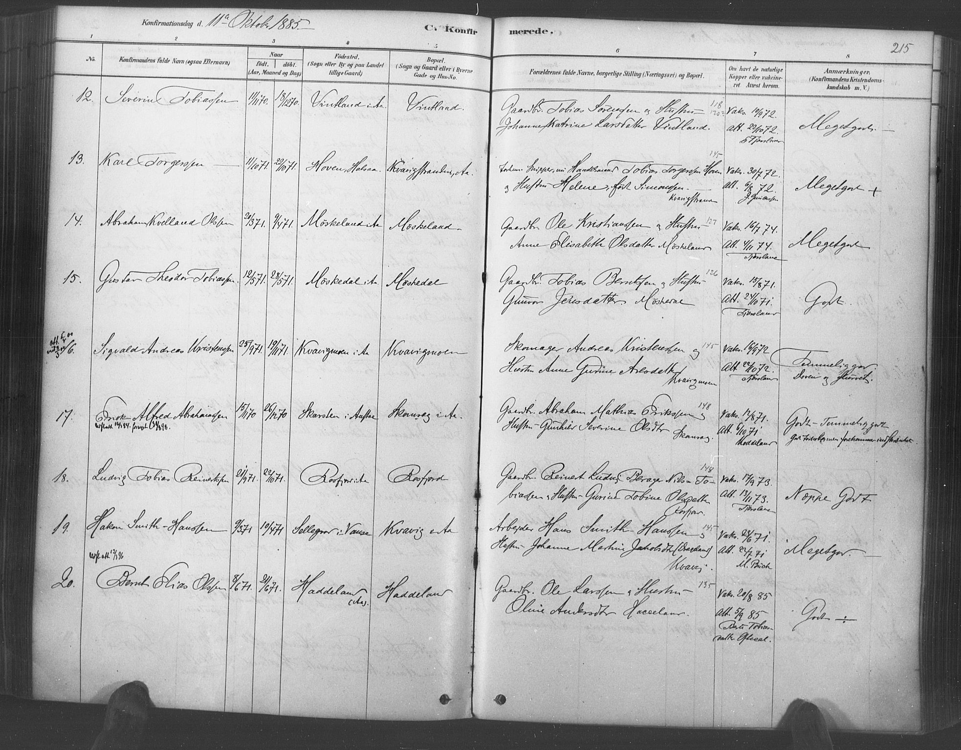 Lyngdal sokneprestkontor, AV/SAK-1111-0029/F/Fa/Fac/L0011: Parish register (official) no. A 11, 1878-1893, p. 215