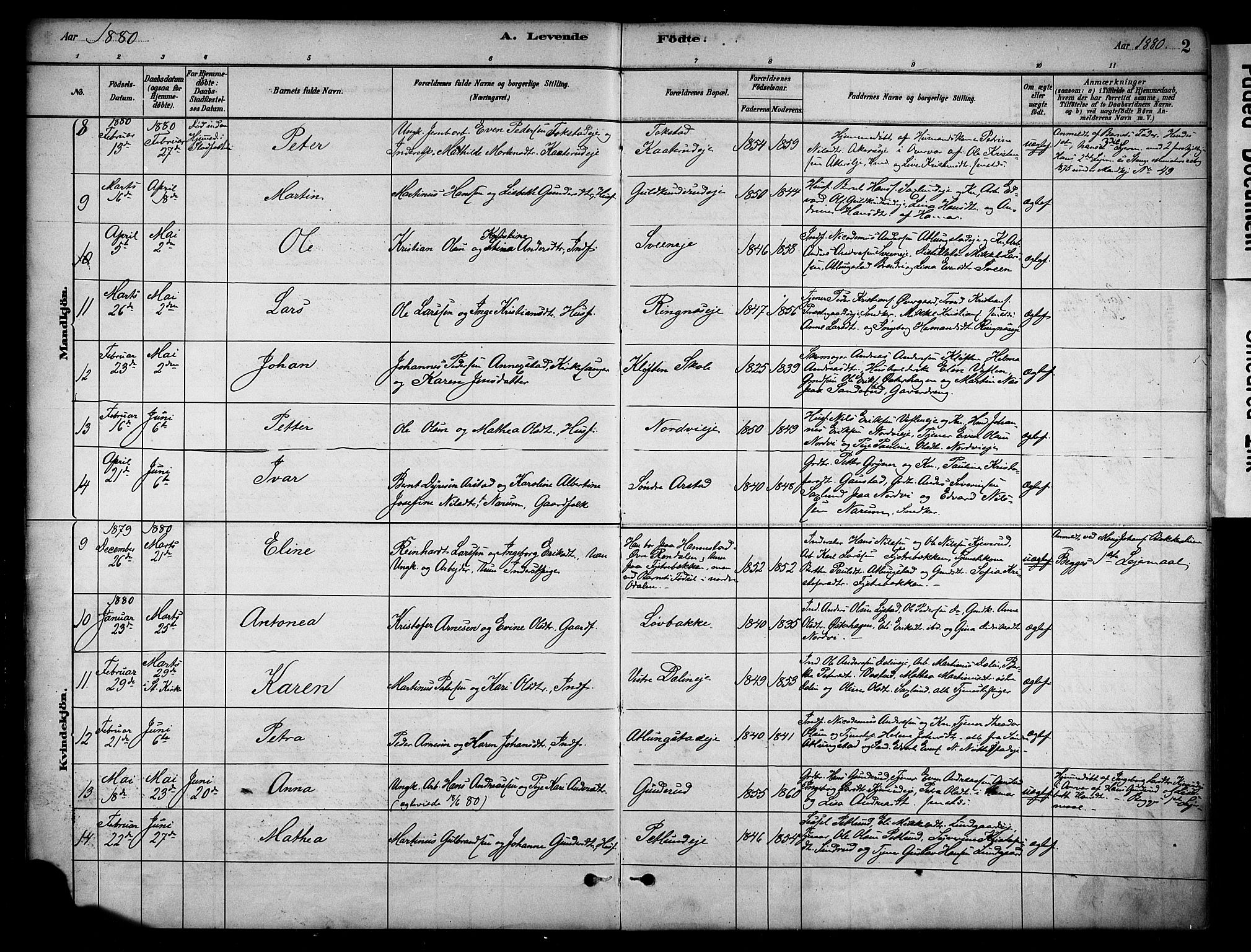 Stange prestekontor, AV/SAH-PREST-002/K/L0019: Parish register (official) no. 19, 1880-1891, p. 2