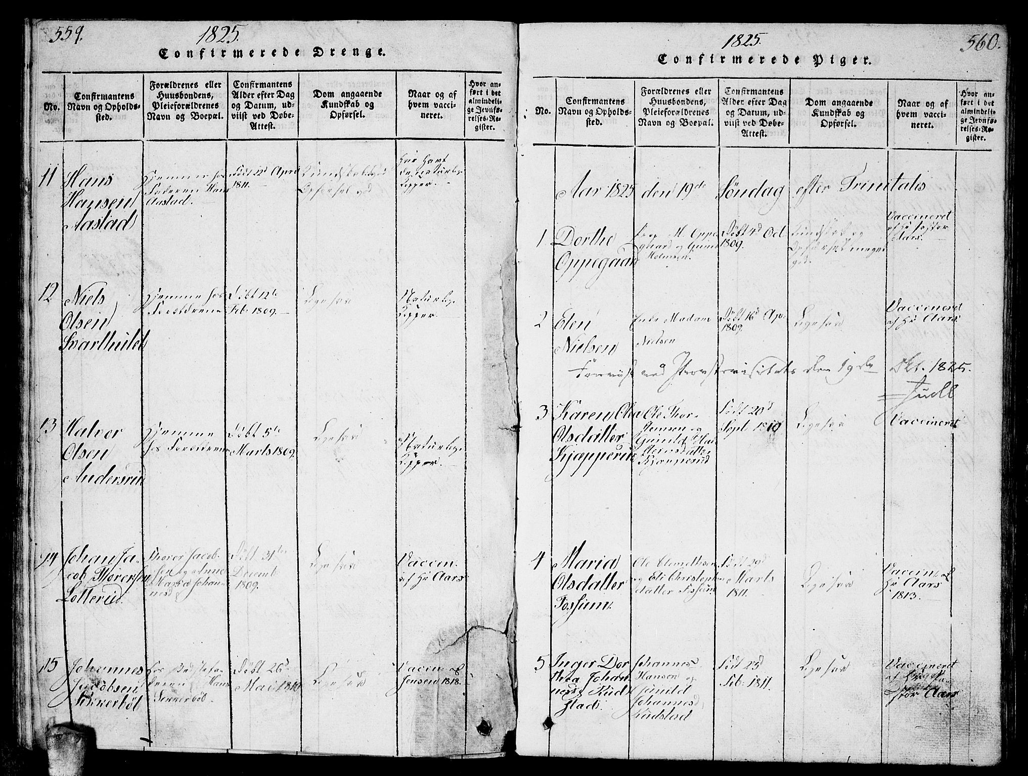 Enebakk prestekontor Kirkebøker, AV/SAO-A-10171c/G/Ga/L0001: Parish register (copy) no. I 1, 1815-1833, p. 559-560