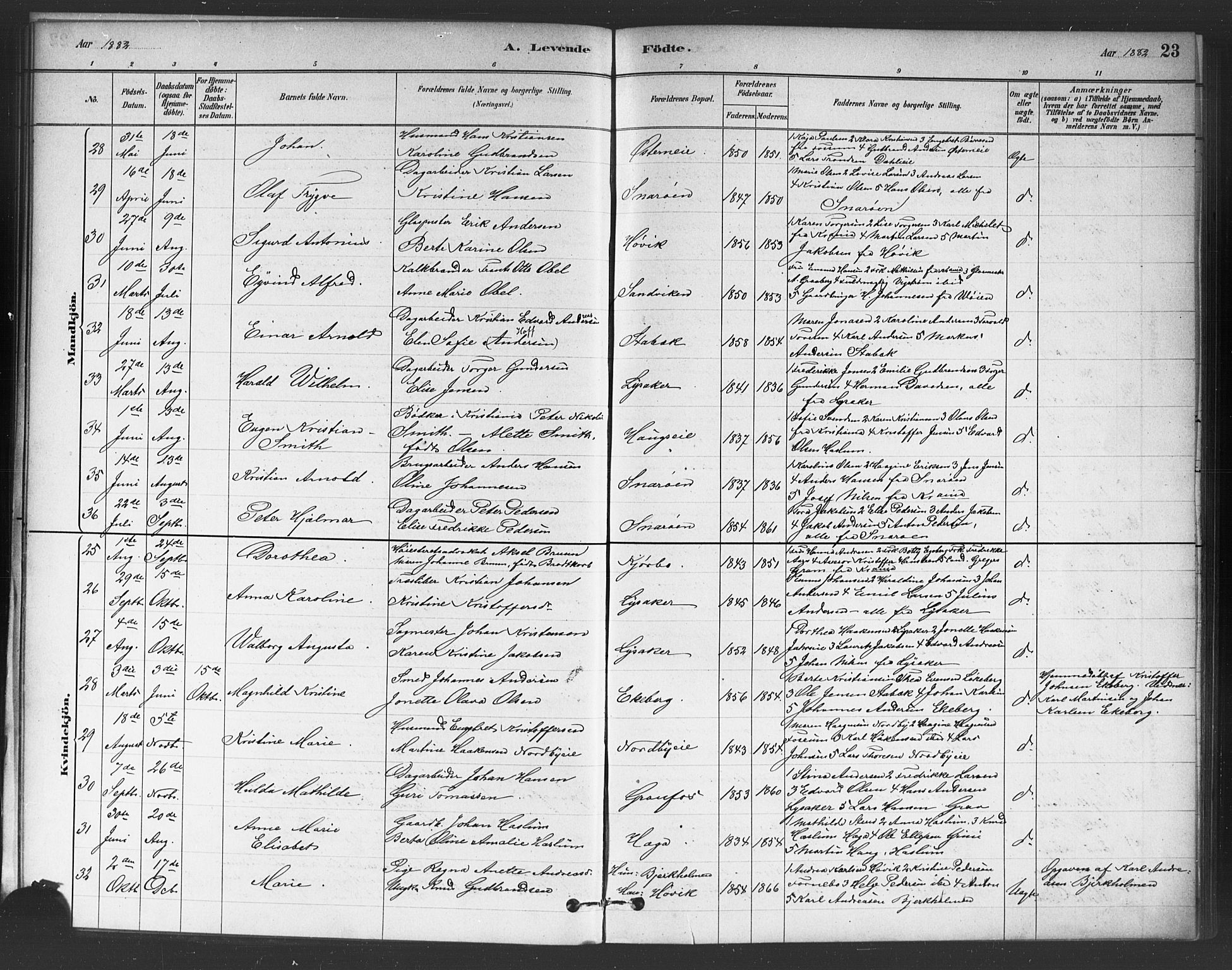 Asker prestekontor Kirkebøker, SAO/A-10256a/F/Fc/L0001: Parish register (official) no. III 1, 1879-1892, p. 23