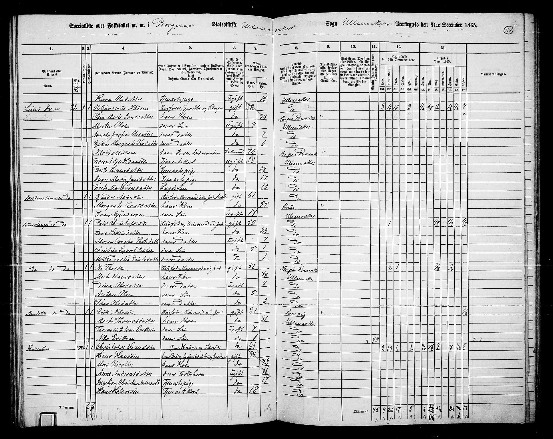 RA, 1865 census for Ullensaker, 1865, p. 100