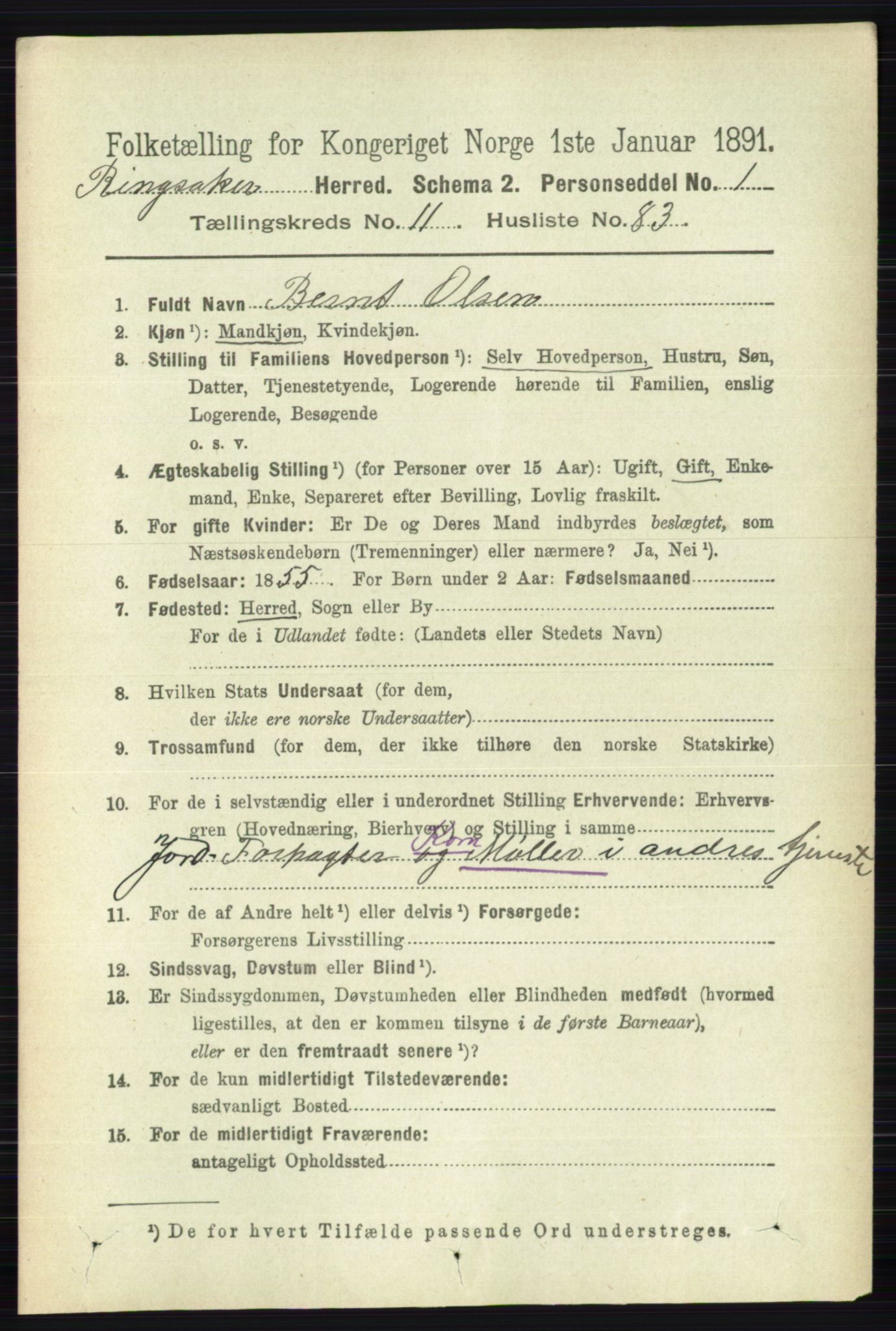 RA, 1891 census for 0412 Ringsaker, 1891, p. 6674