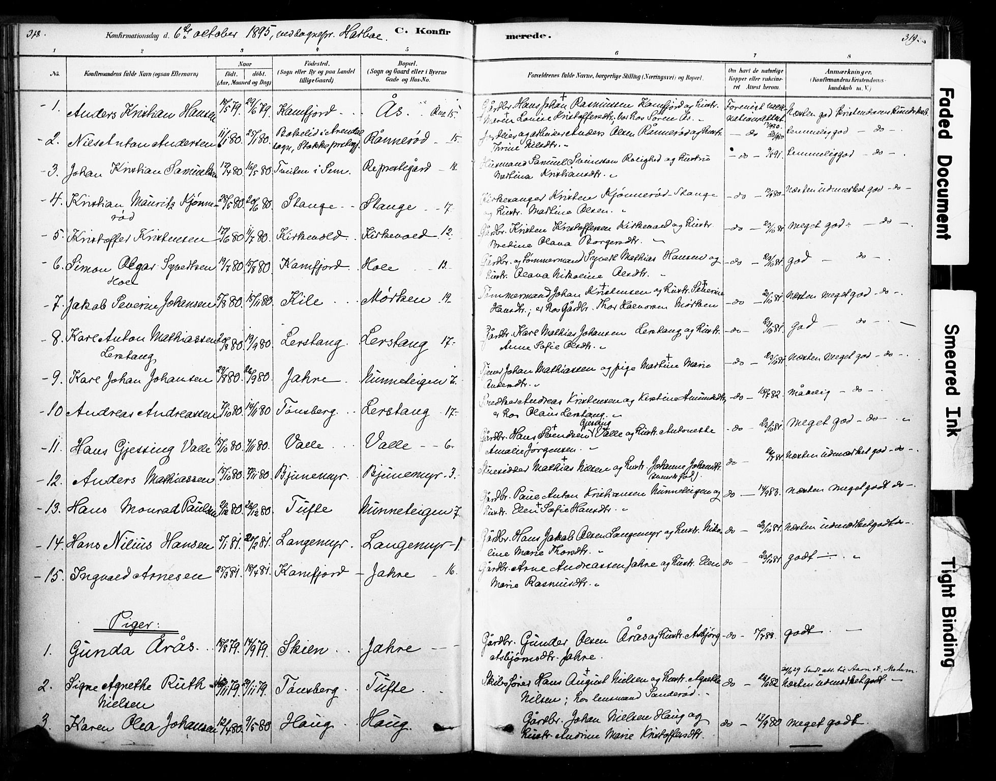 Ramnes kirkebøker, AV/SAKO-A-314/F/Fa/L0007: Parish register (official) no. I 7, 1878-1895, p. 318-319