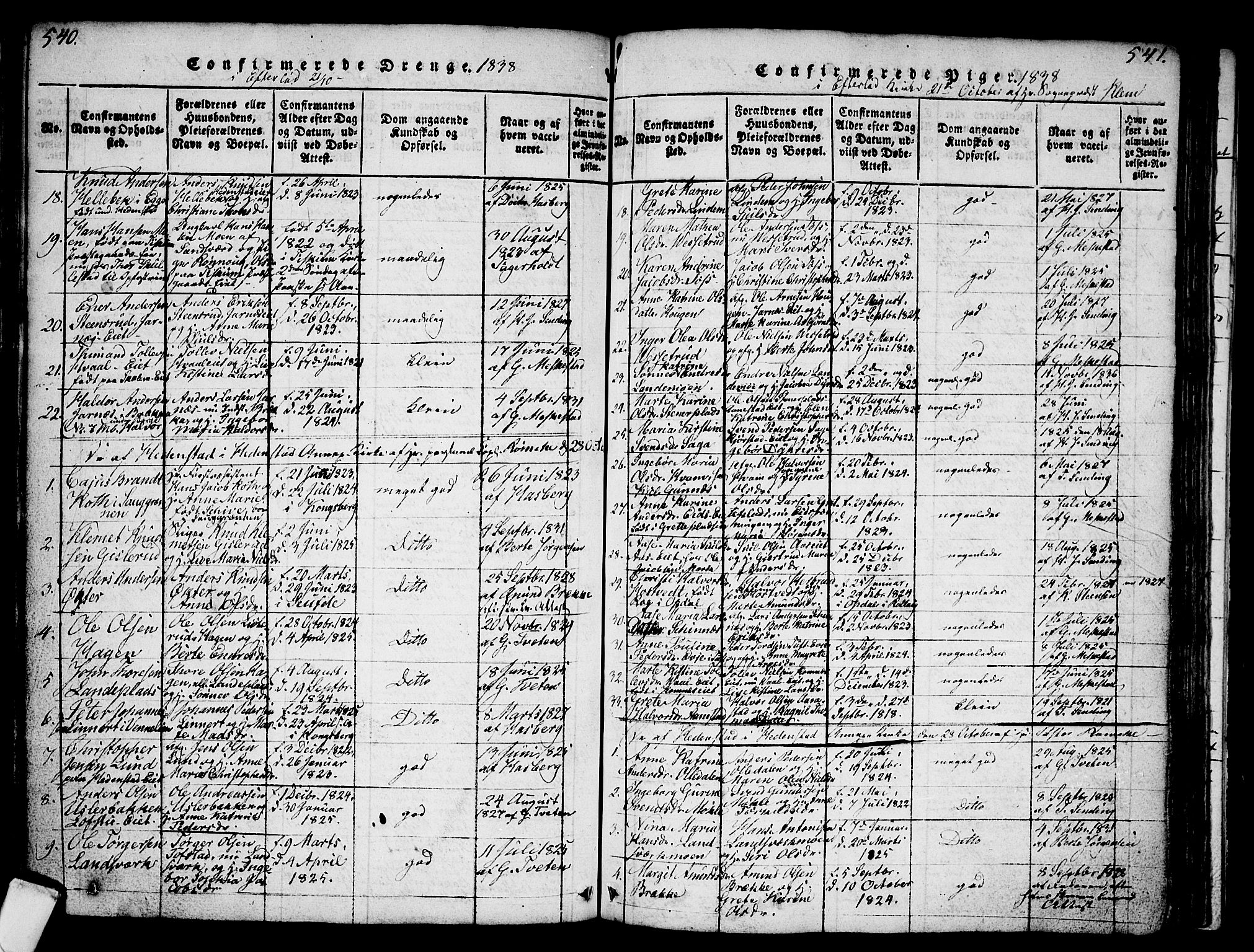 Sandsvær kirkebøker, AV/SAKO-A-244/G/Ga/L0003: Parish register (copy) no. I 3, 1817-1839, p. 540-541