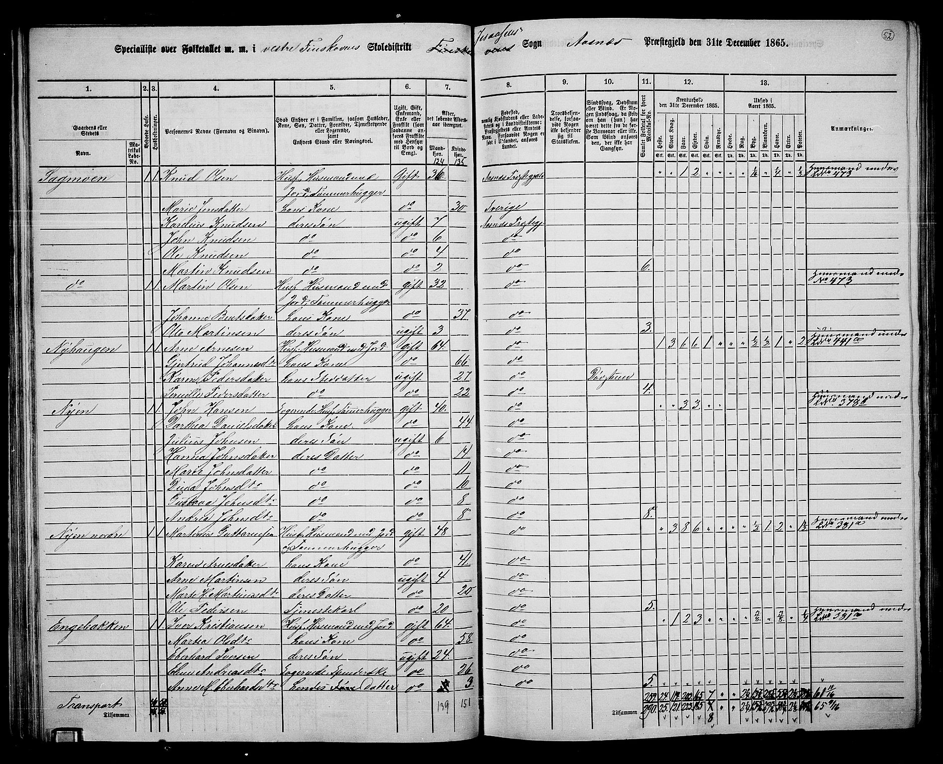 RA, 1865 census for Åsnes, 1865, p. 48