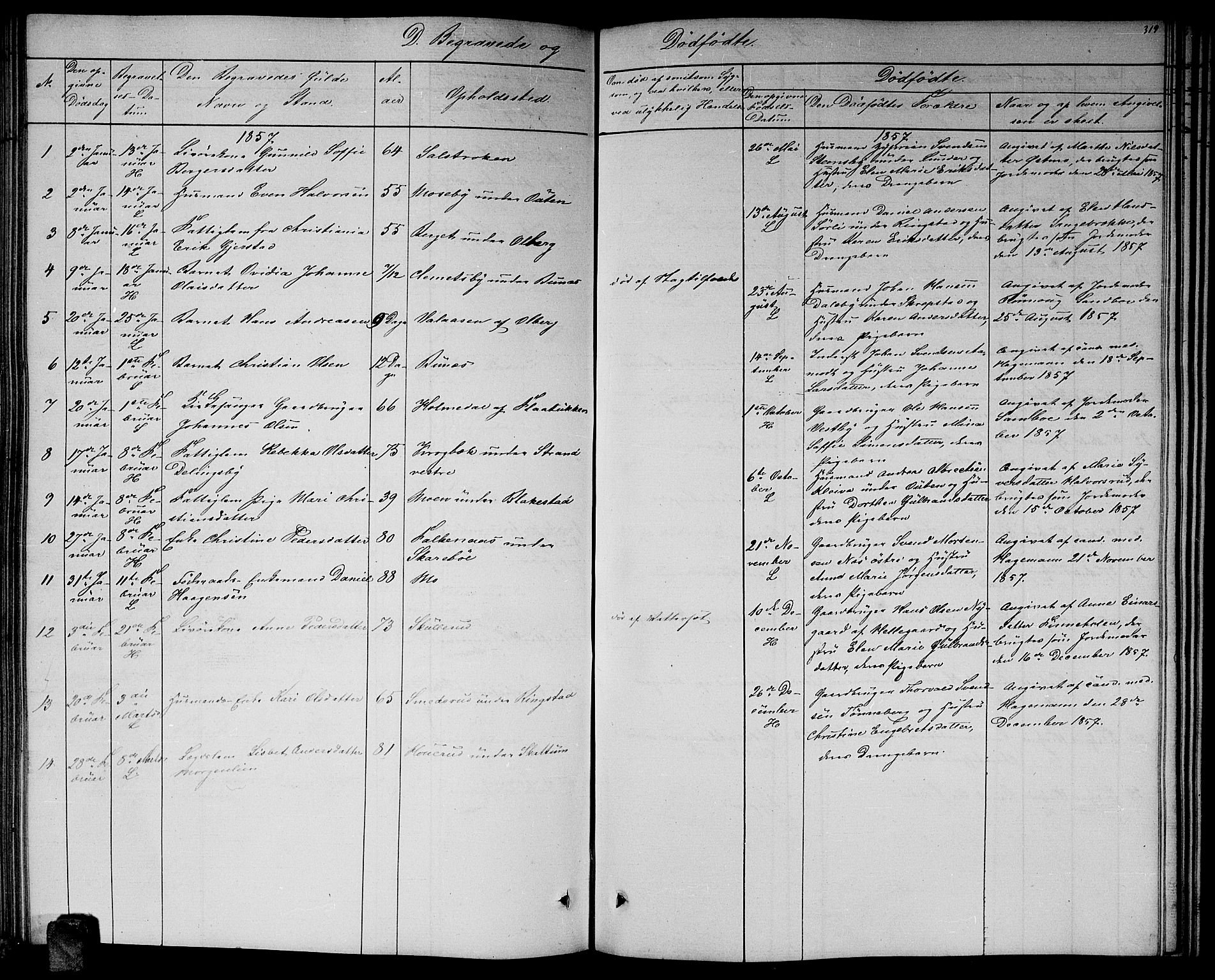 Høland prestekontor Kirkebøker, SAO/A-10346a/G/Ga/L0004: Parish register (copy) no. I 4, 1854-1862, p. 319