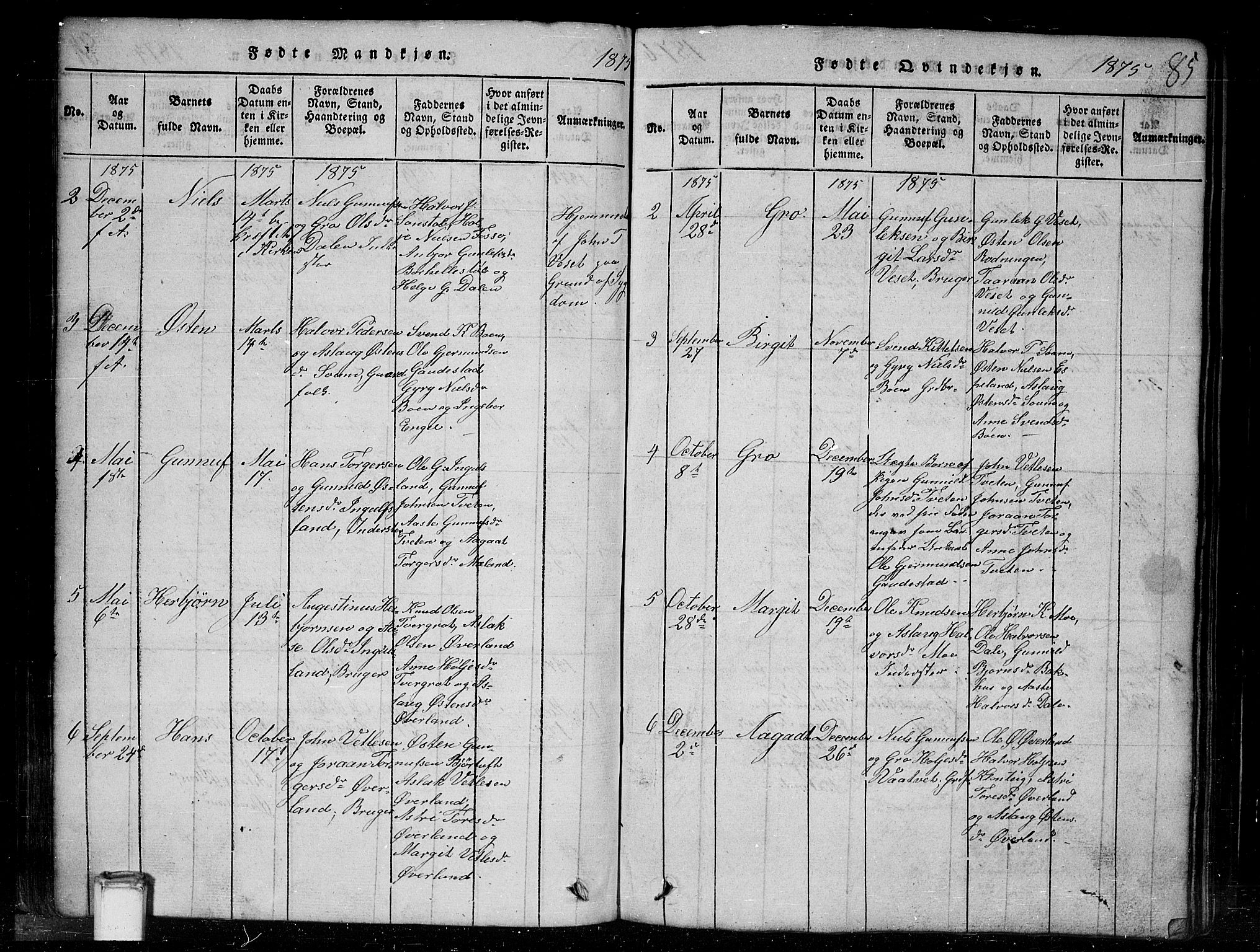 Tinn kirkebøker, SAKO/A-308/G/Gc/L0001: Parish register (copy) no. III 1, 1815-1879, p. 85