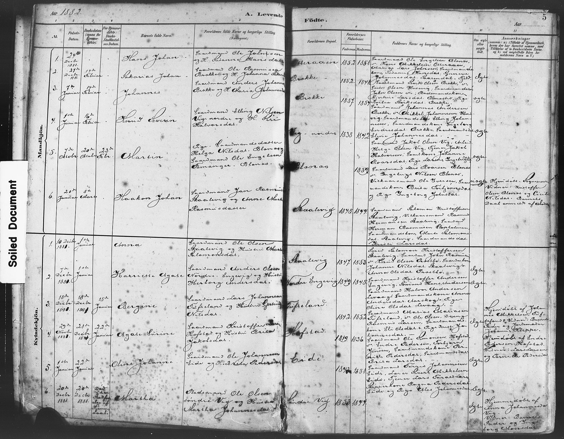 Fitjar sokneprestembete, AV/SAB-A-99926: Parish register (official) no. A 2, 1882-1899, p. 5