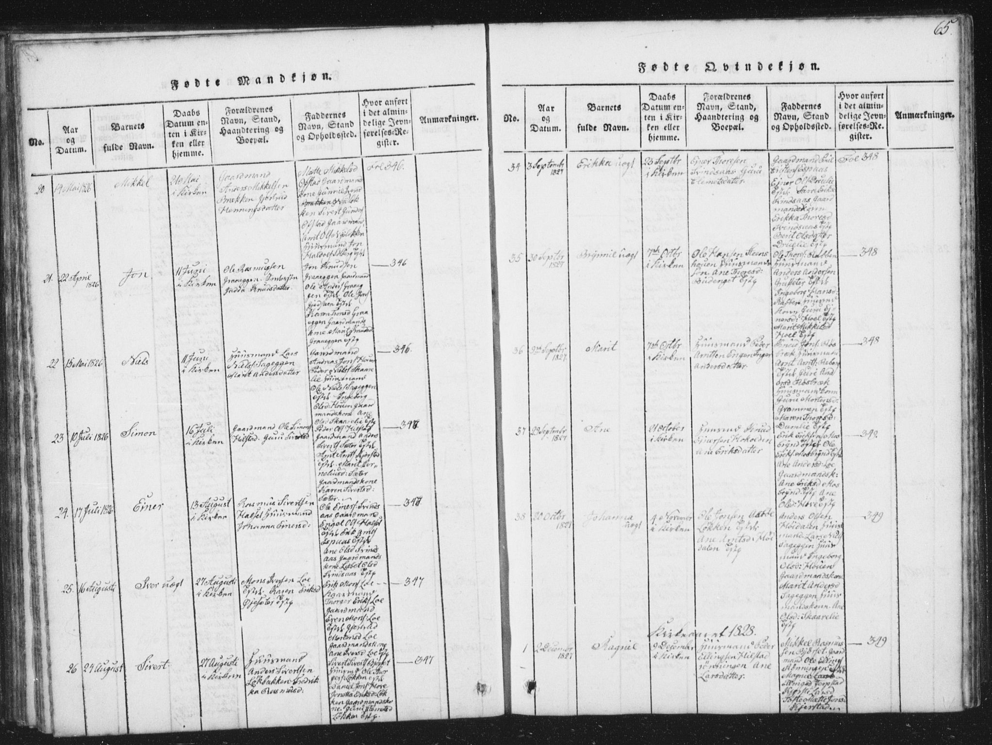 Ministerialprotokoller, klokkerbøker og fødselsregistre - Sør-Trøndelag, SAT/A-1456/672/L0862: Parish register (copy) no. 672C01, 1816-1831, p. 65