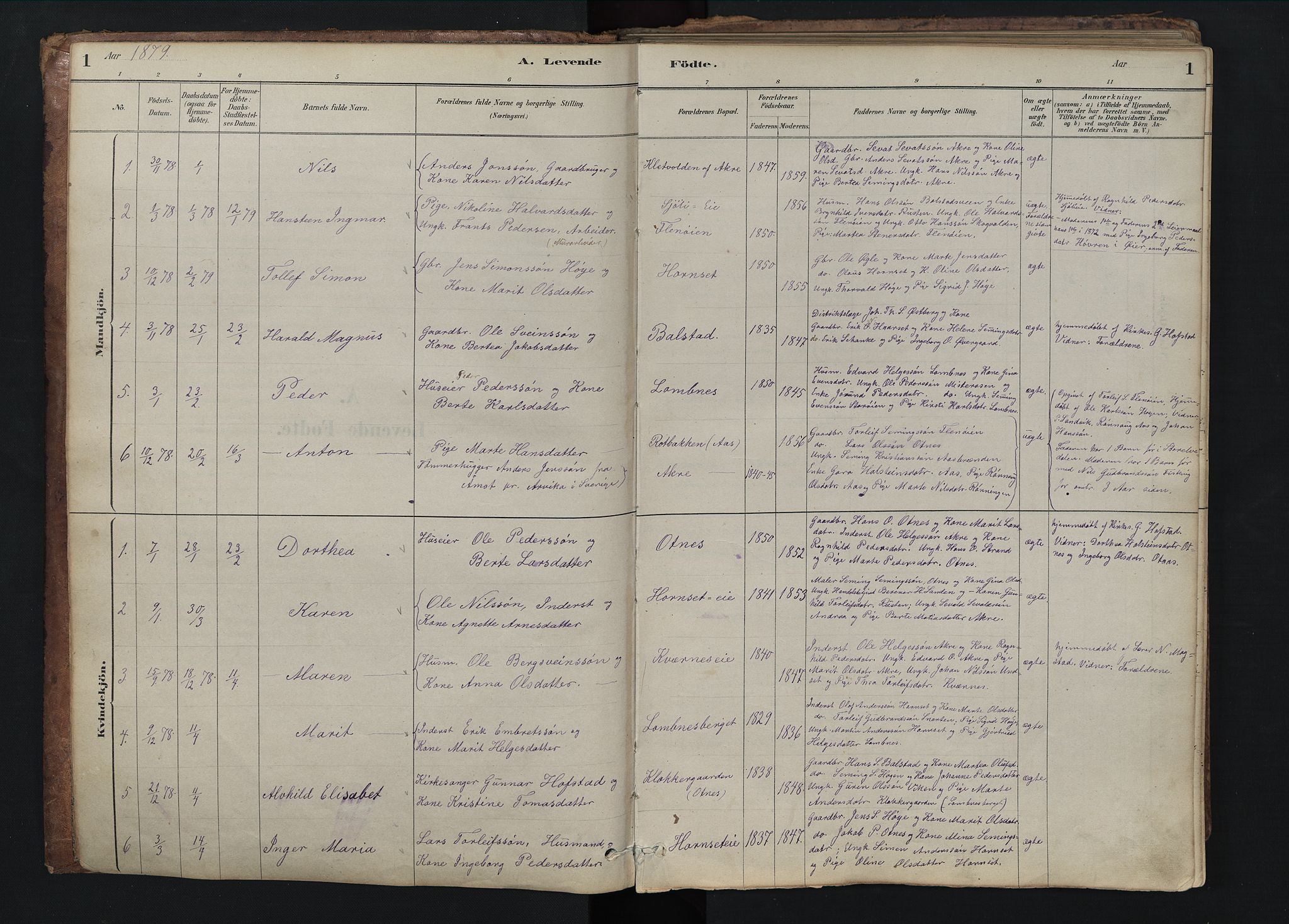 Rendalen prestekontor, SAH/PREST-054/H/Ha/Hab/L0009: Parish register (copy) no. 9, 1879-1902, p. 1