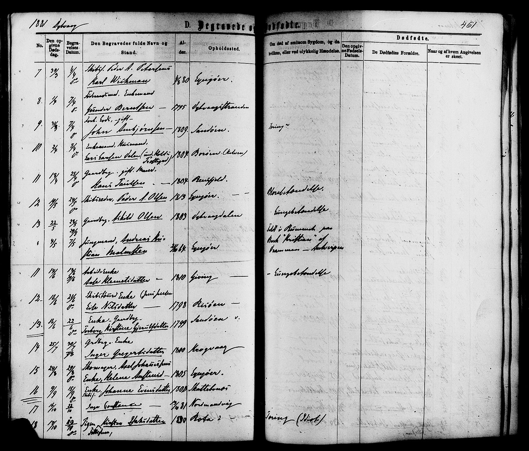 Dypvåg sokneprestkontor, SAK/1111-0007/F/Fa/Faa/L0007: Parish register (official) no. A 7/ 1, 1872-1884, p. 461