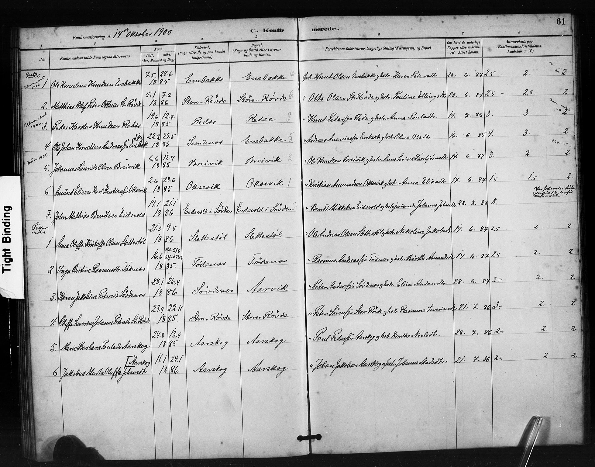 Ministerialprotokoller, klokkerbøker og fødselsregistre - Møre og Romsdal, AV/SAT-A-1454/504/L0056: Parish register (official) no. 504A03, 1884-1904, p. 61