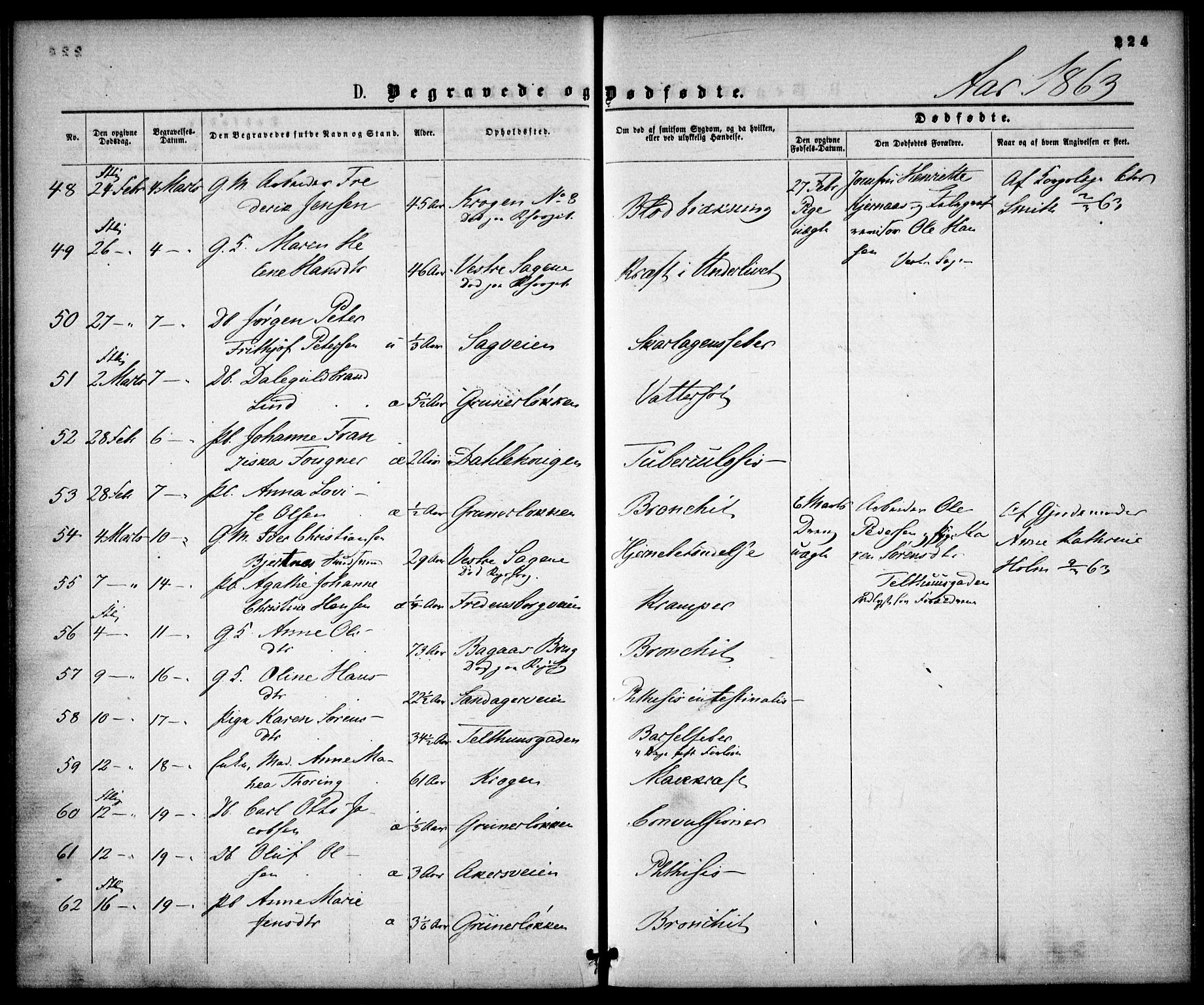 Gamle Aker prestekontor Kirkebøker, SAO/A-10617a/F/L0001: Parish register (official) no. 1, 1861-1865, p. 224