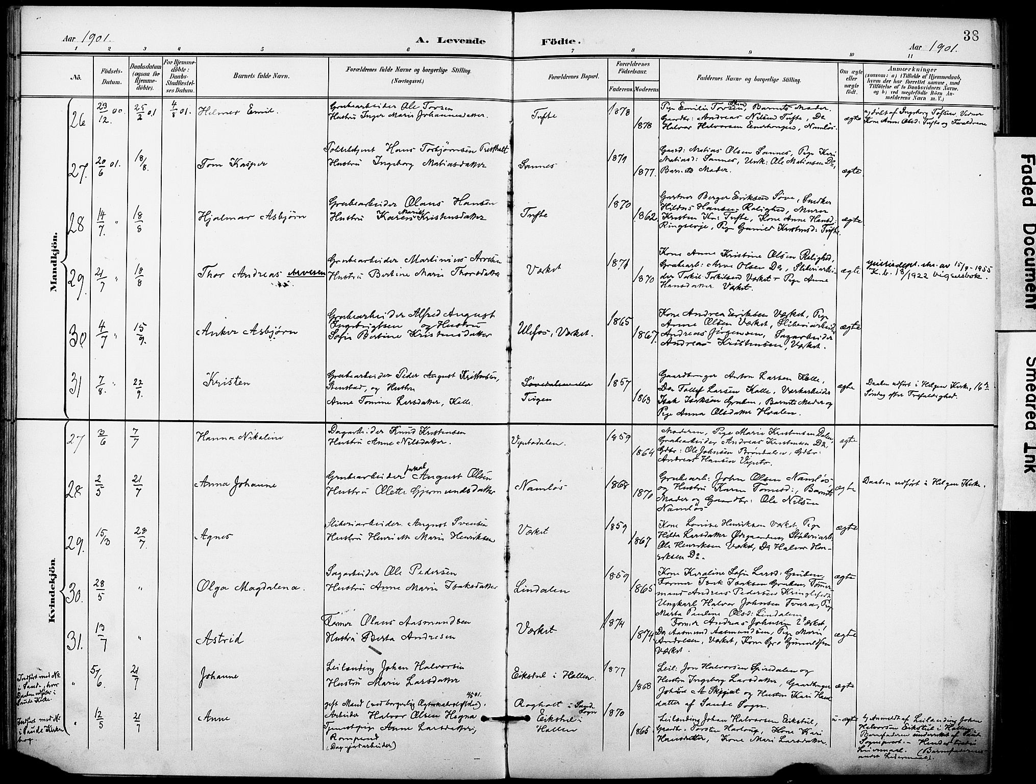 Holla kirkebøker, AV/SAKO-A-272/F/Fa/L0010: Parish register (official) no. 10, 1897-1907, p. 38