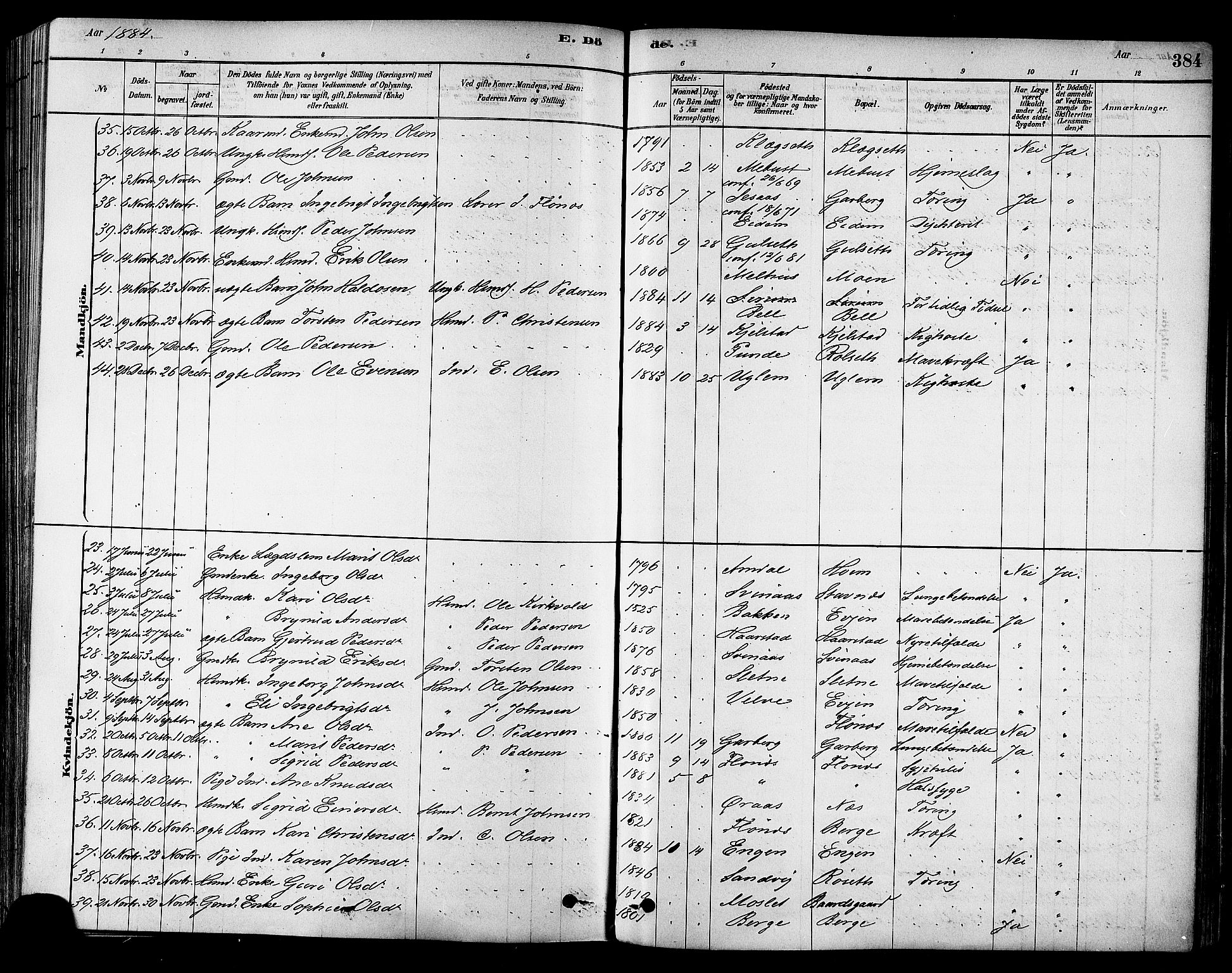 Ministerialprotokoller, klokkerbøker og fødselsregistre - Sør-Trøndelag, SAT/A-1456/695/L1148: Parish register (official) no. 695A08, 1878-1891, p. 384