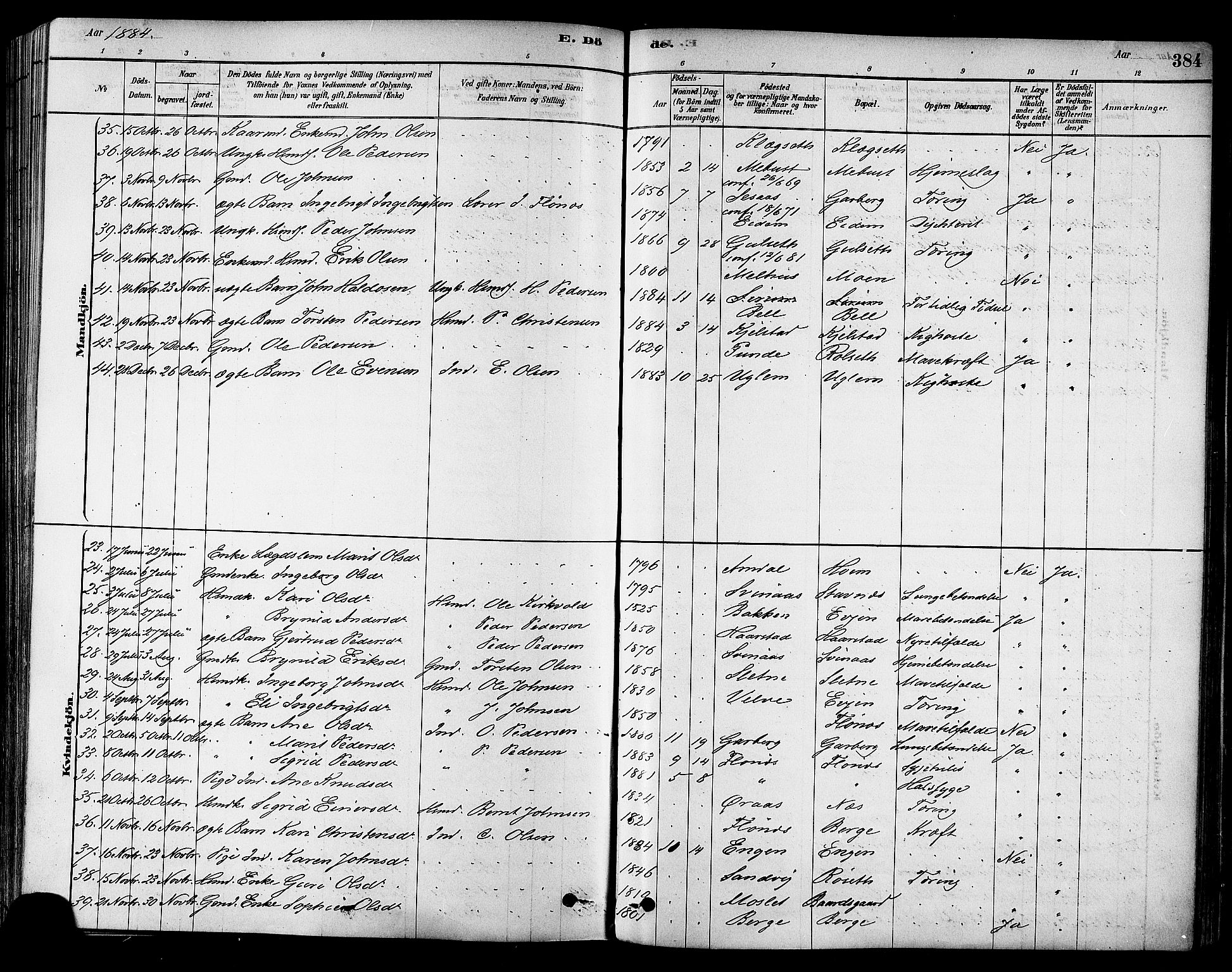 Ministerialprotokoller, klokkerbøker og fødselsregistre - Sør-Trøndelag, AV/SAT-A-1456/695/L1148: Parish register (official) no. 695A08, 1878-1891, p. 384