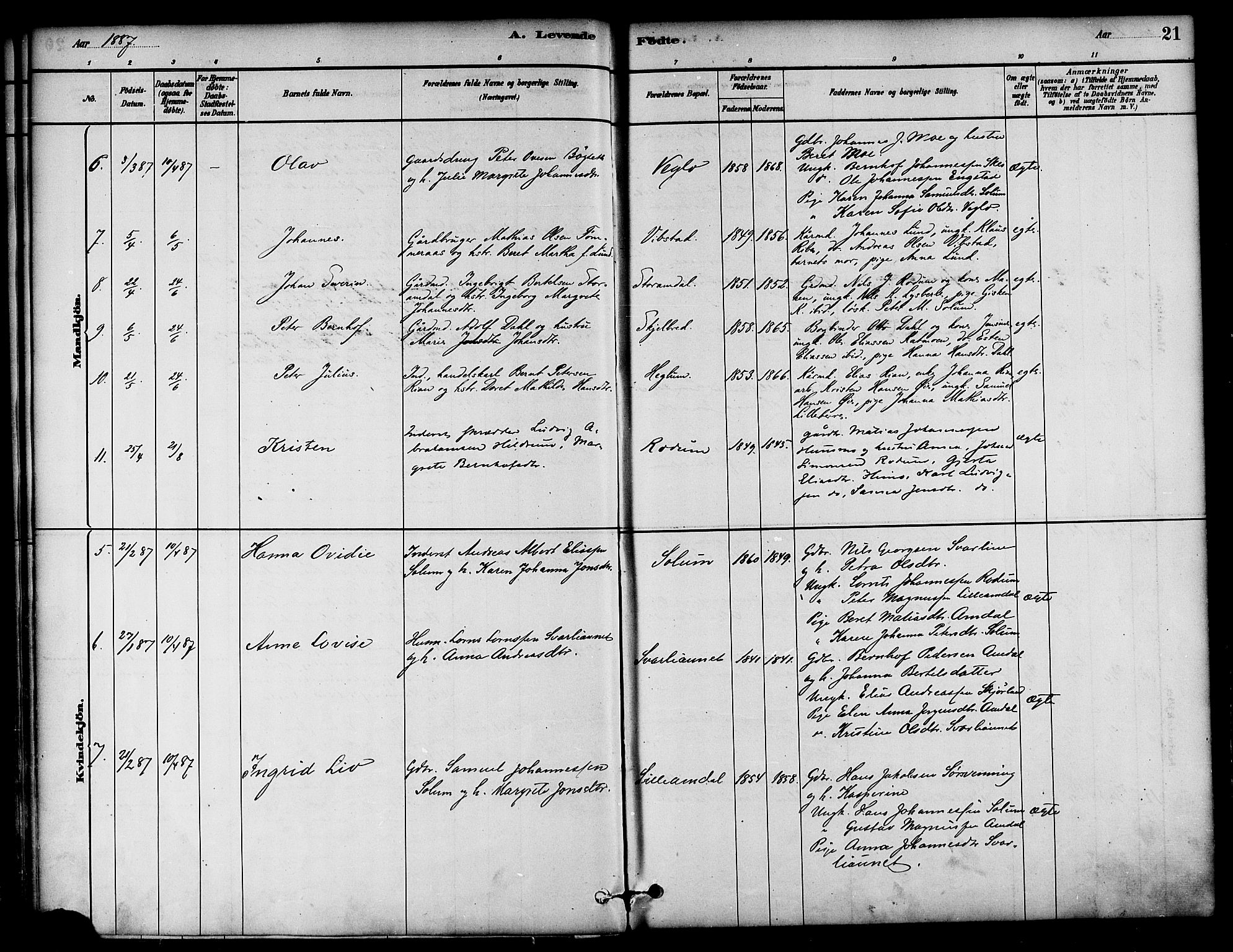 Ministerialprotokoller, klokkerbøker og fødselsregistre - Nord-Trøndelag, SAT/A-1458/764/L0555: Parish register (official) no. 764A10, 1881-1896, p. 21