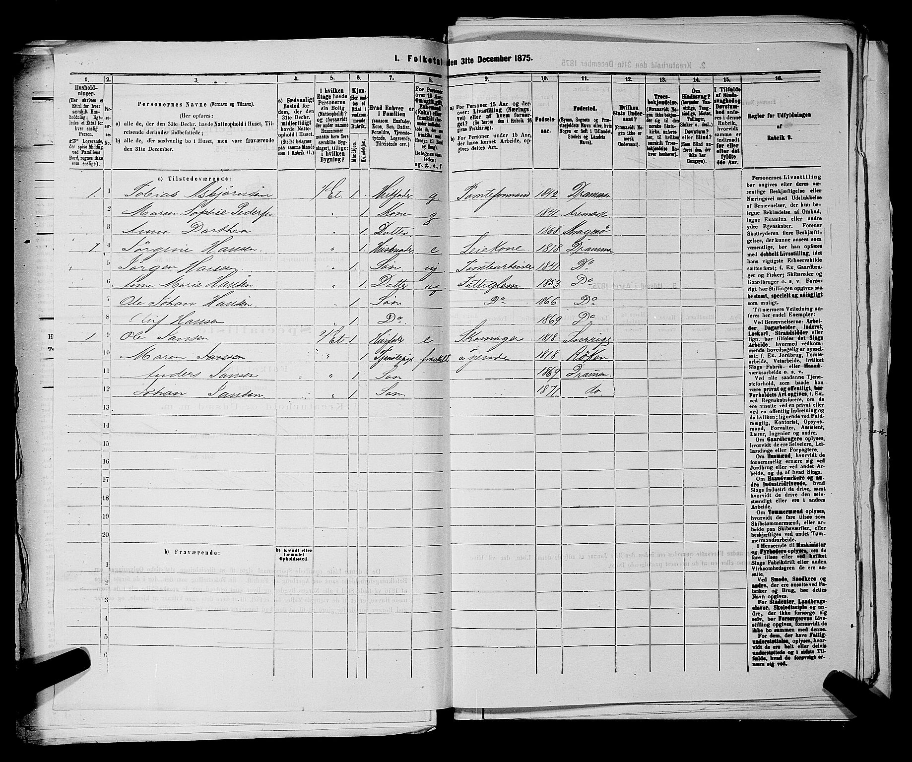 SAKO, 1875 census for 0602 Drammen, 1875, p. 1718