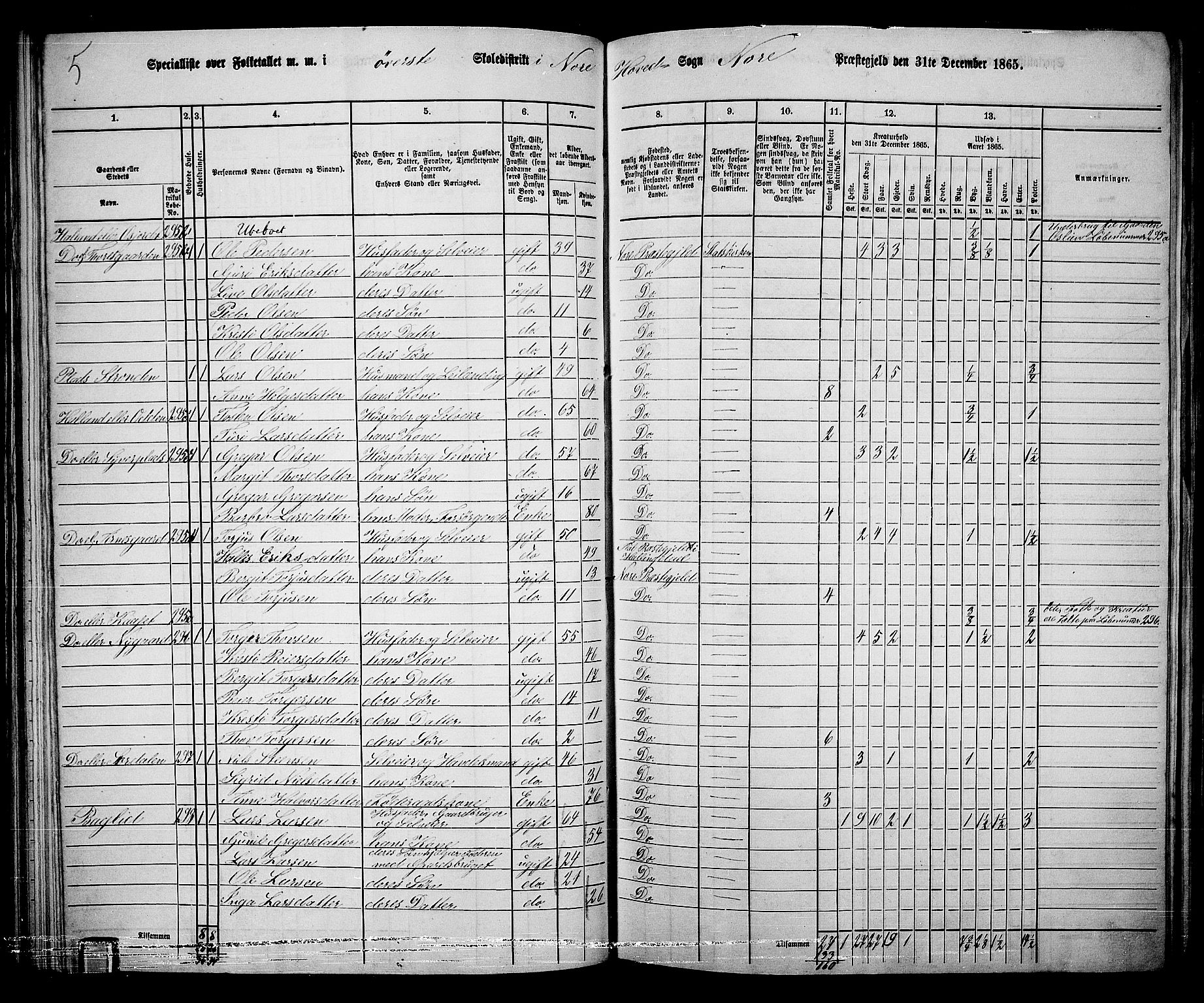 RA, 1865 census for Nore, 1865, p. 74