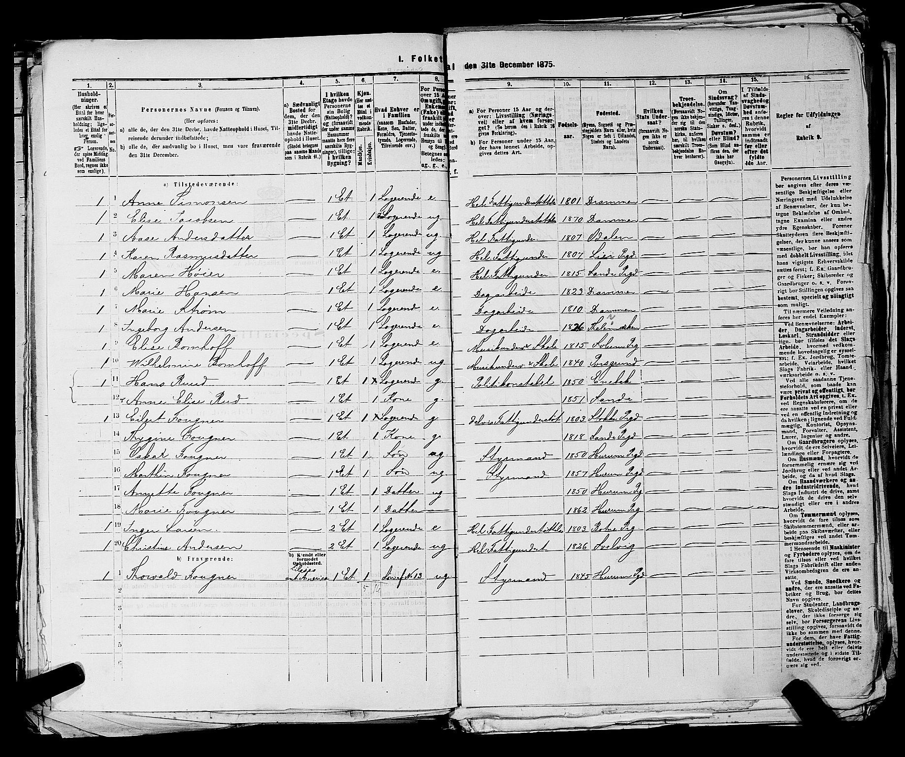 SAKO, 1875 census for 0602 Drammen, 1875, p. 802