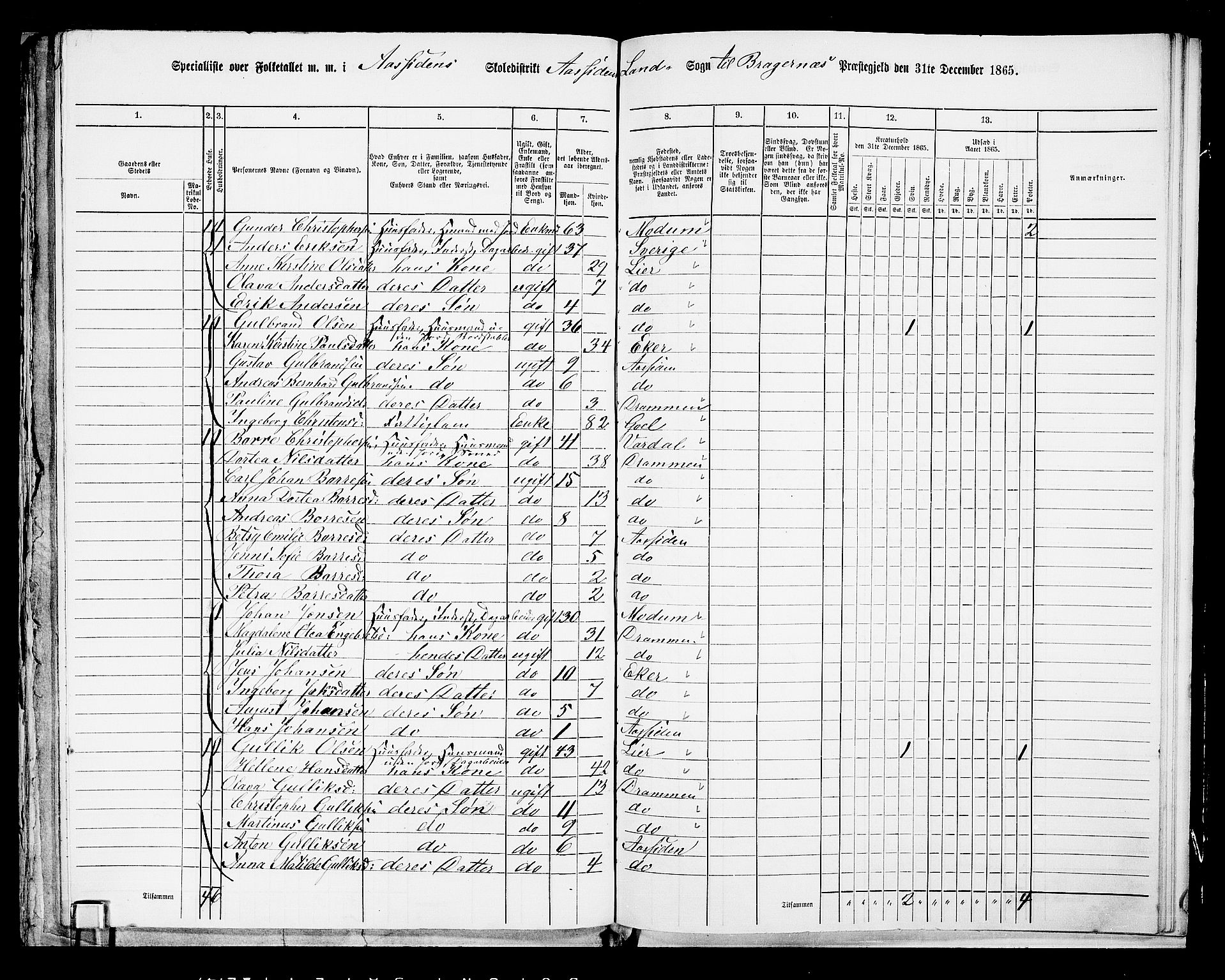 RA, 1865 census for Bragernes/Åssiden, 1865, p. 17