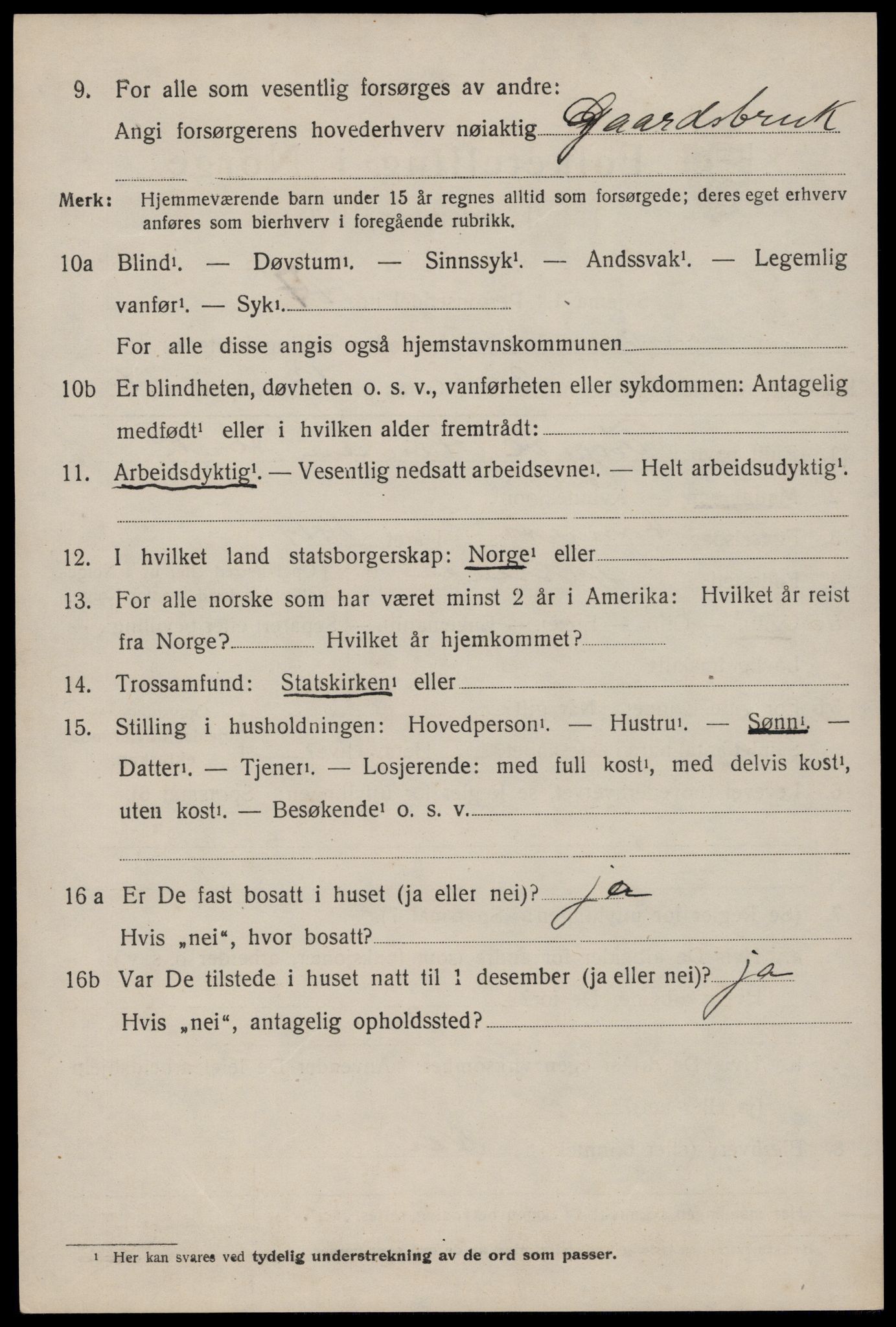SAKO, 1920 census for Nissedal, 1920, p. 1790