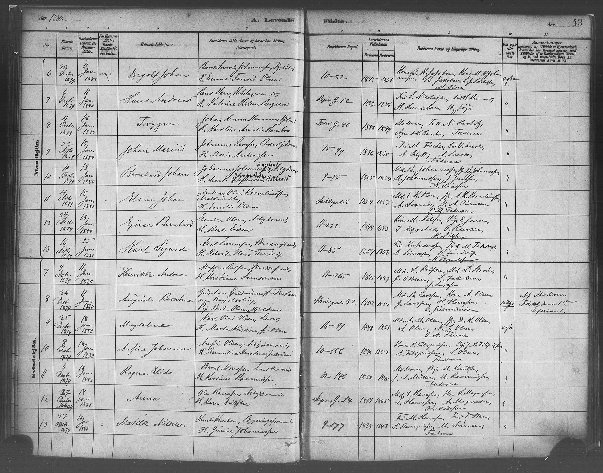 Domkirken sokneprestembete, AV/SAB-A-74801/H/Haa/L0023: Parish register (official) no. B 6, 1879-1887, p. 43