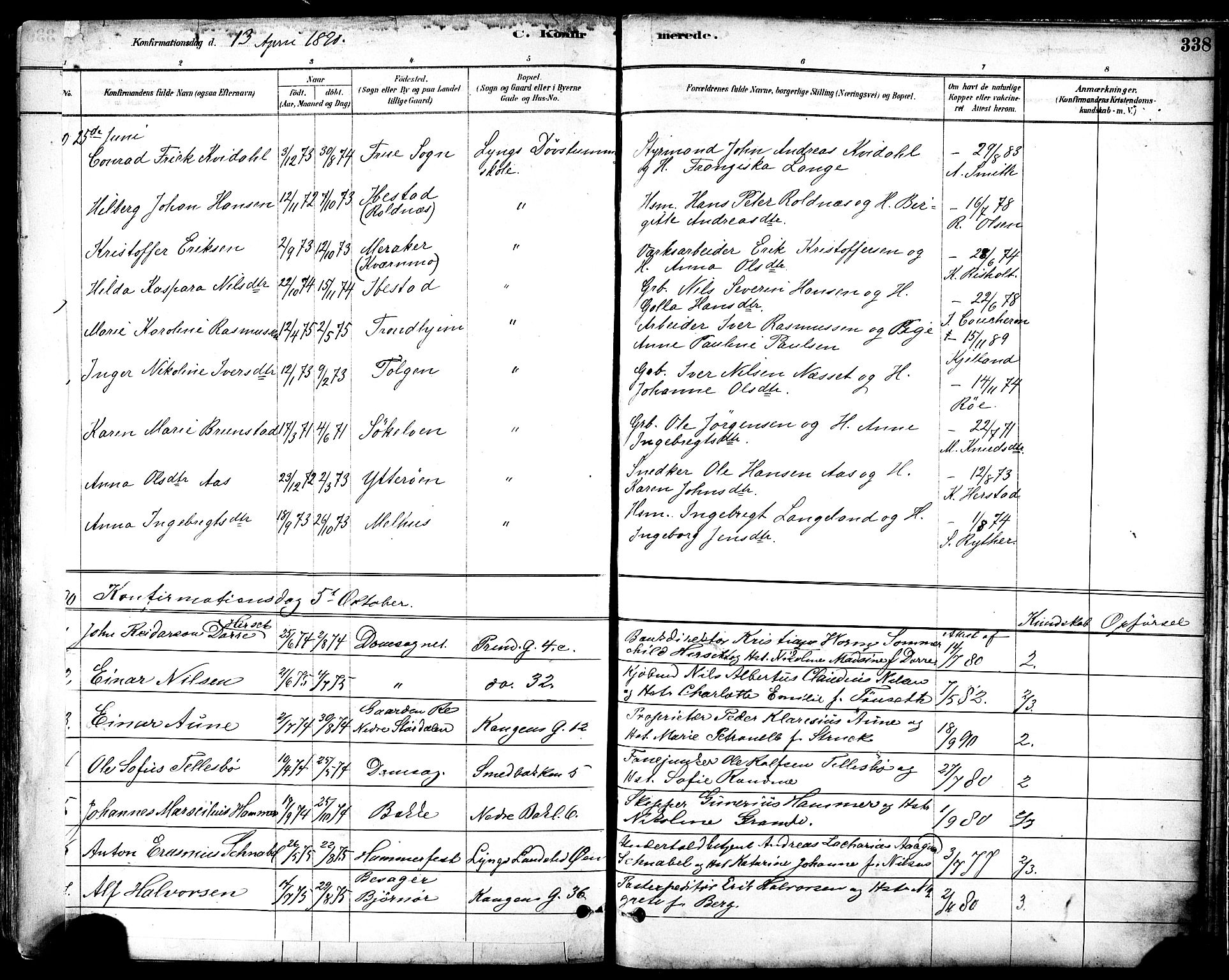 Ministerialprotokoller, klokkerbøker og fødselsregistre - Sør-Trøndelag, AV/SAT-A-1456/601/L0057: Parish register (official) no. 601A25, 1877-1891, p. 338