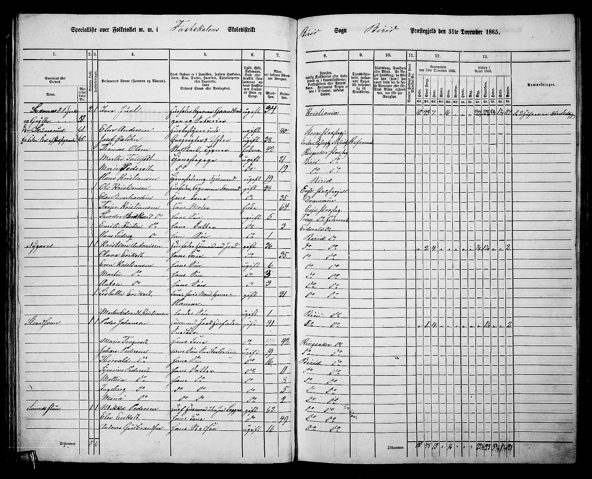 RA, 1865 census for Biri, 1865, p. 42