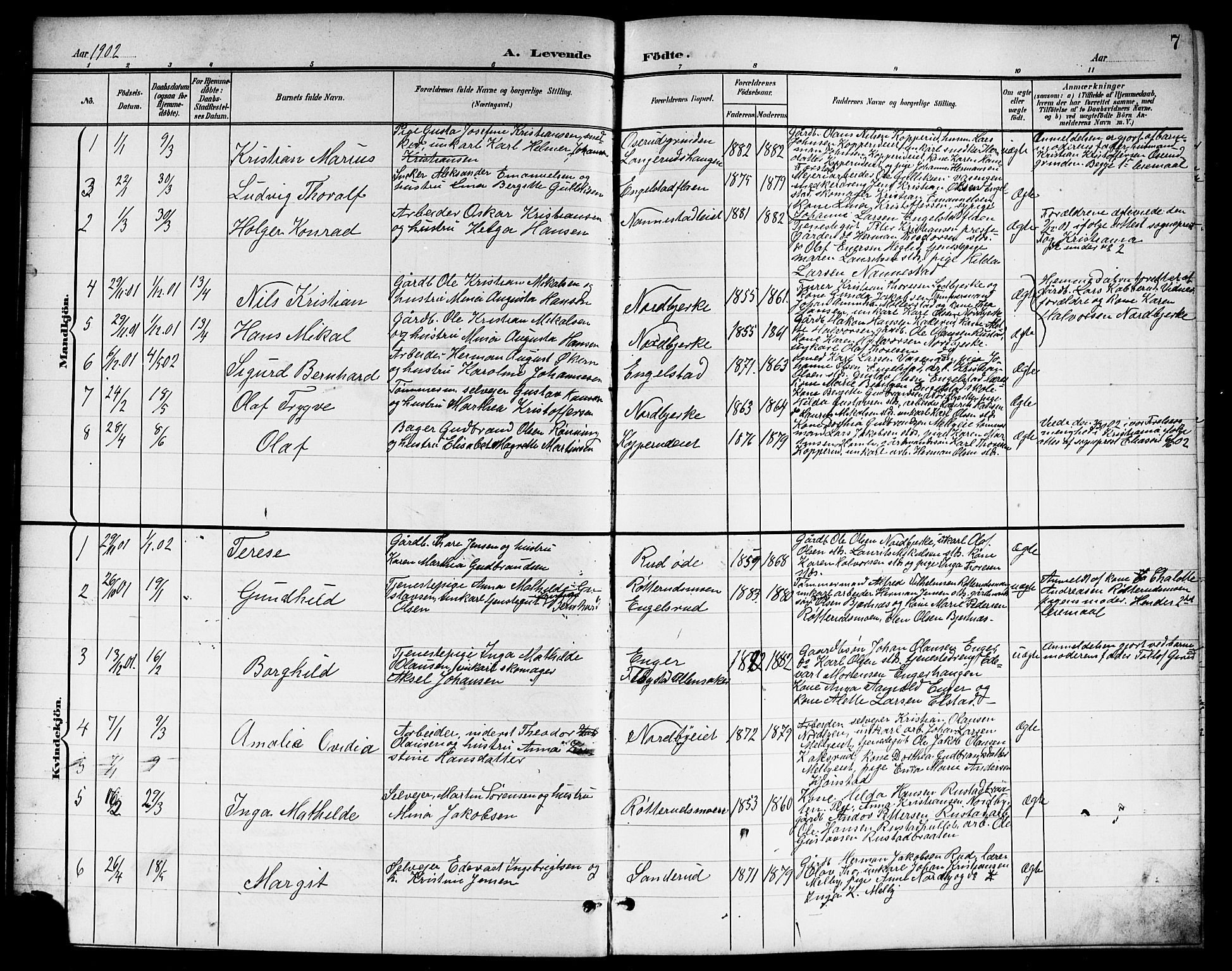 Nannestad prestekontor Kirkebøker, SAO/A-10414a/G/Ga/L0002: Parish register (copy) no. I 2, 1901-1913, p. 7