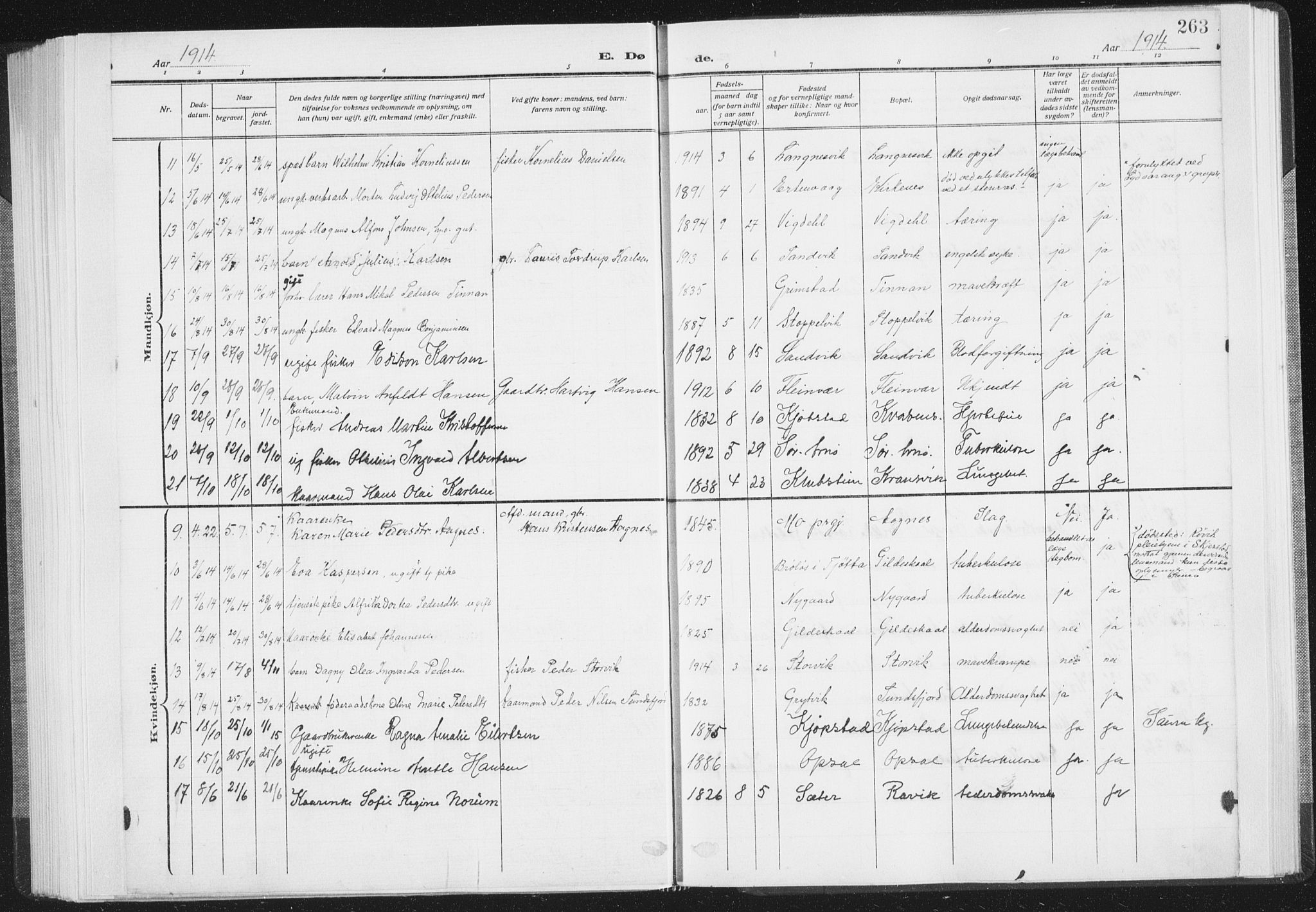 Ministerialprotokoller, klokkerbøker og fødselsregistre - Nordland, SAT/A-1459/805/L0104: Parish register (official) no. 805A09, 1909-1926, p. 263