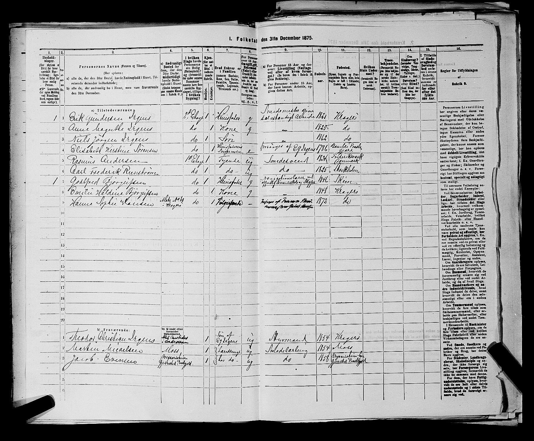 SAKO, 1875 census for 0801P Kragerø, 1875, p. 439