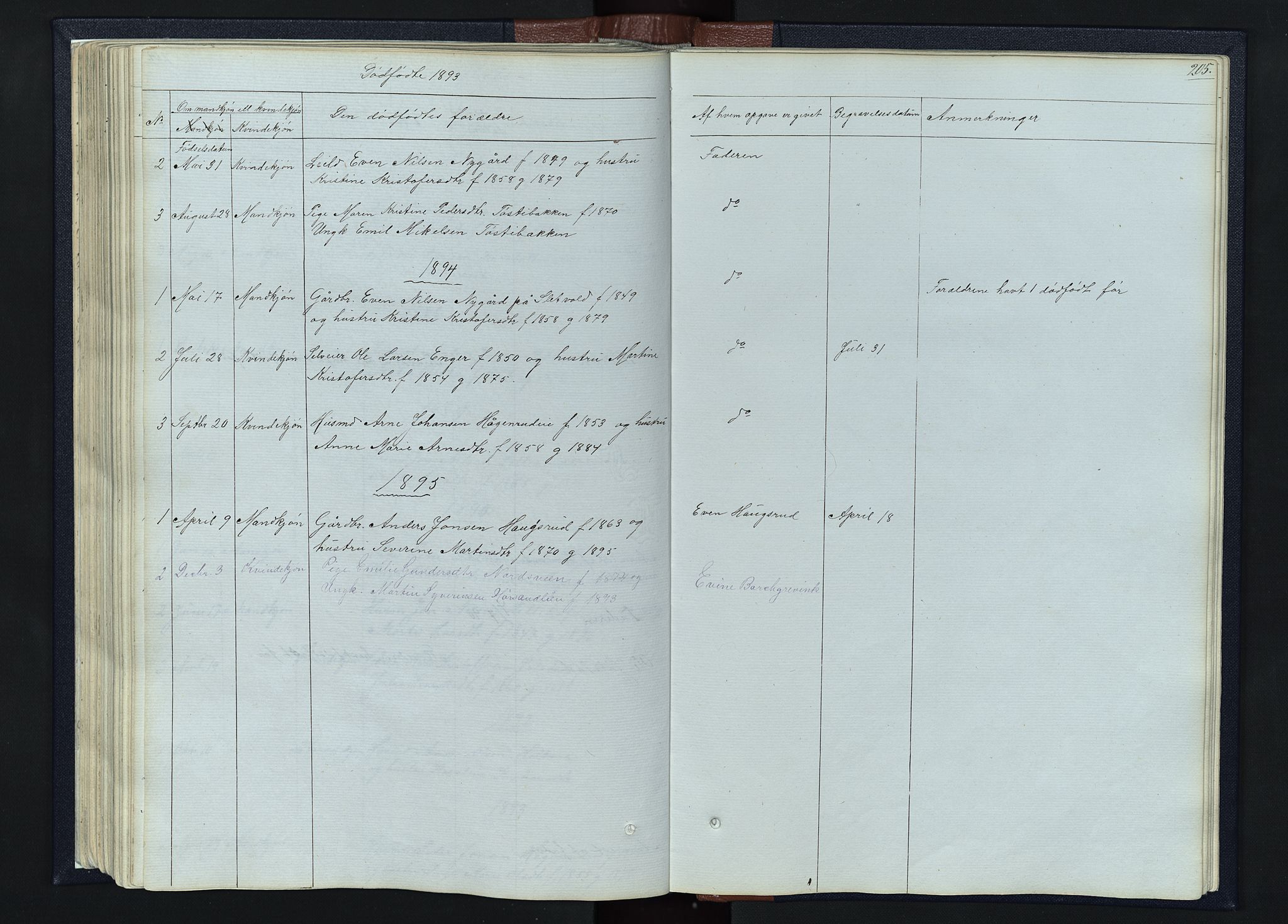 Romedal prestekontor, SAH/PREST-004/L/L0010: Parish register (copy) no. 10, 1860-1895, p. 205
