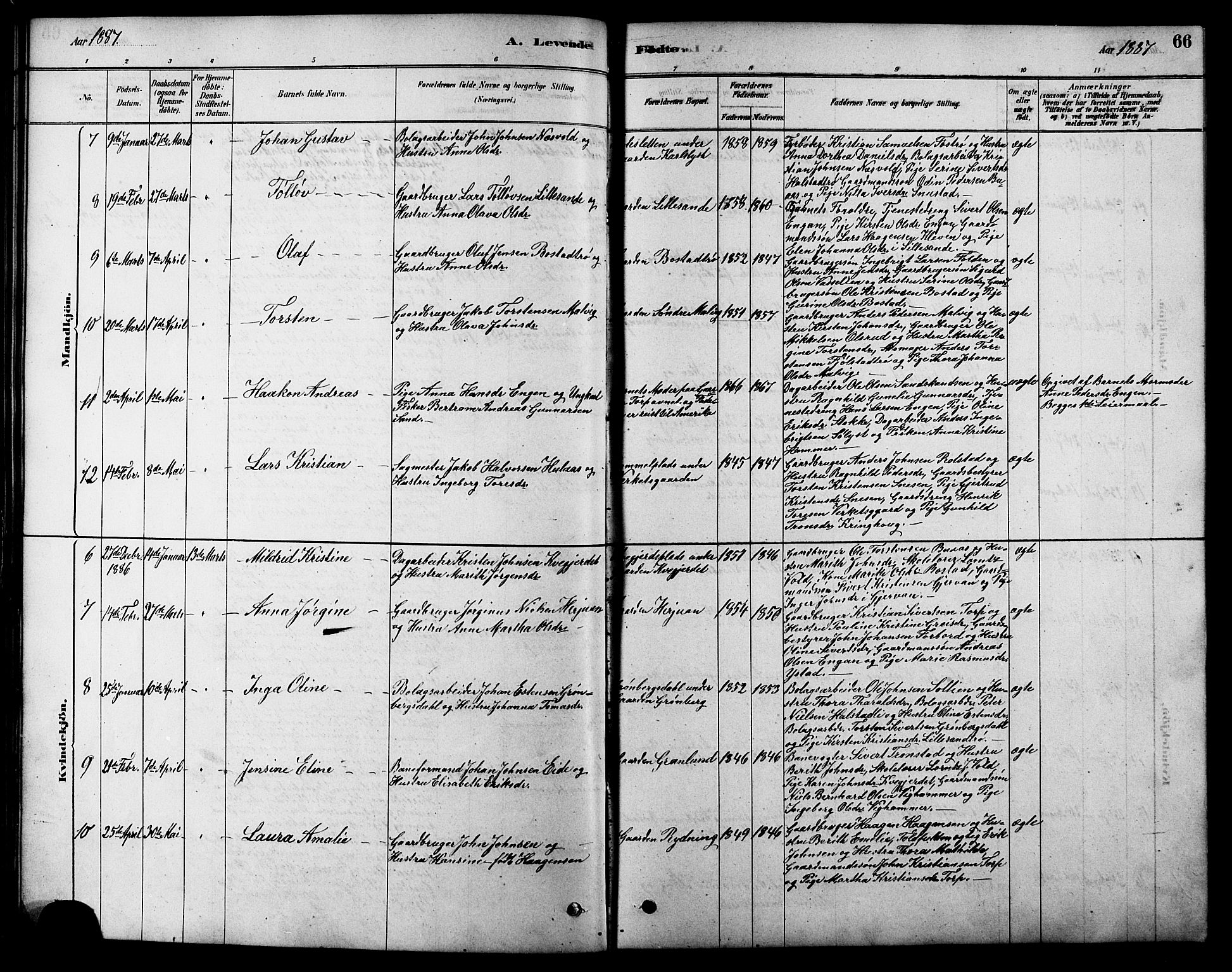 Ministerialprotokoller, klokkerbøker og fødselsregistre - Sør-Trøndelag, AV/SAT-A-1456/616/L0423: Parish register (copy) no. 616C06, 1878-1903, p. 66