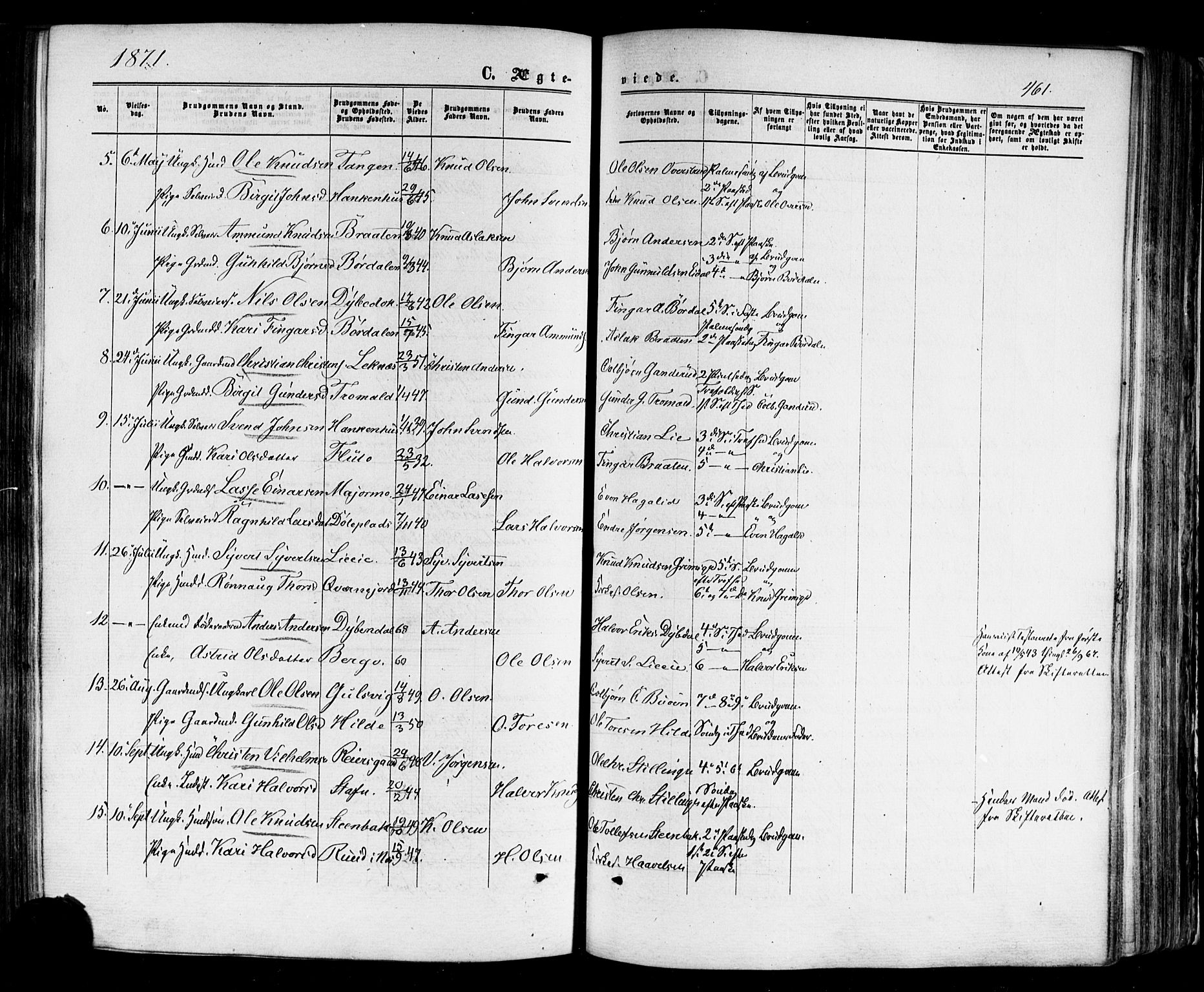 Nes kirkebøker, AV/SAKO-A-236/F/Fa/L0010: Parish register (official) no. 10, 1864-1880, p. 461